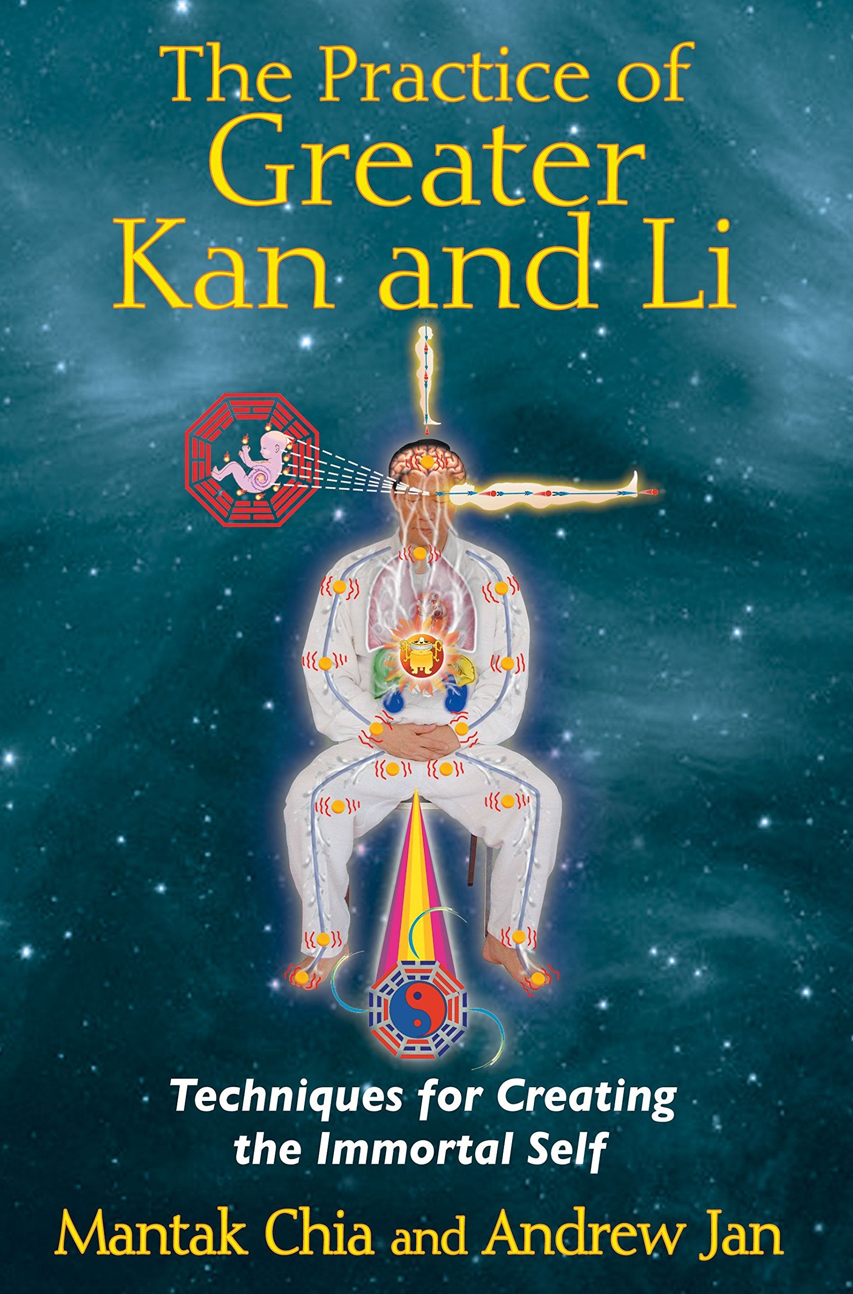 The Practice of Greater Kan and Li: Techniques for Creating the Immortal Self Social Sciences