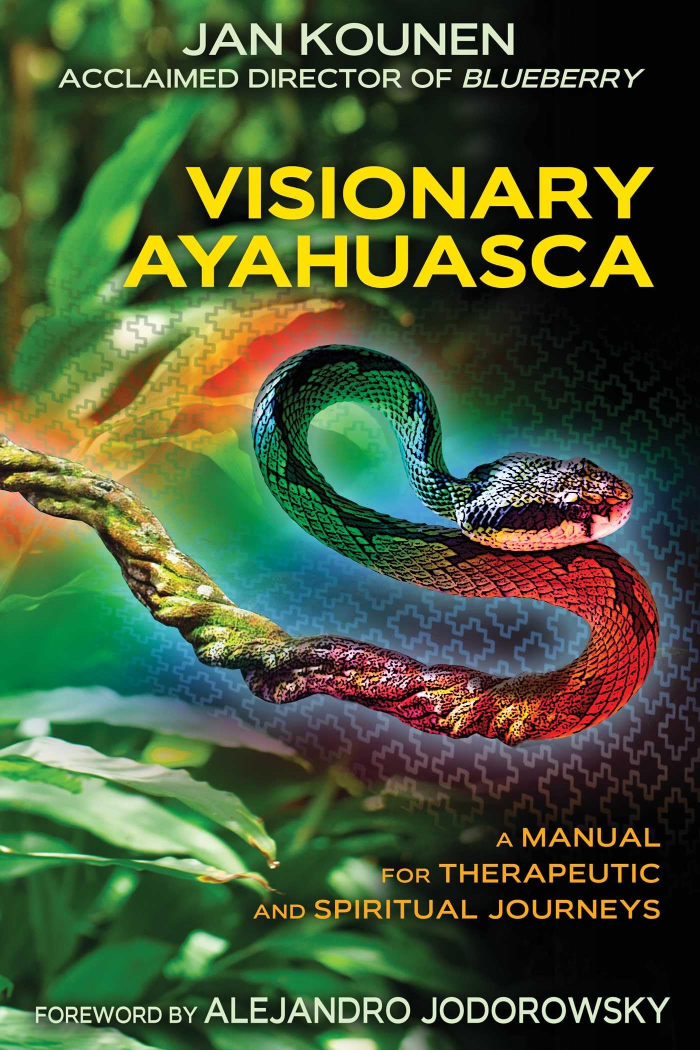 Visionary Ayahuasca: A Manual for Therapeutic and Spiritual Journeys Medicine
