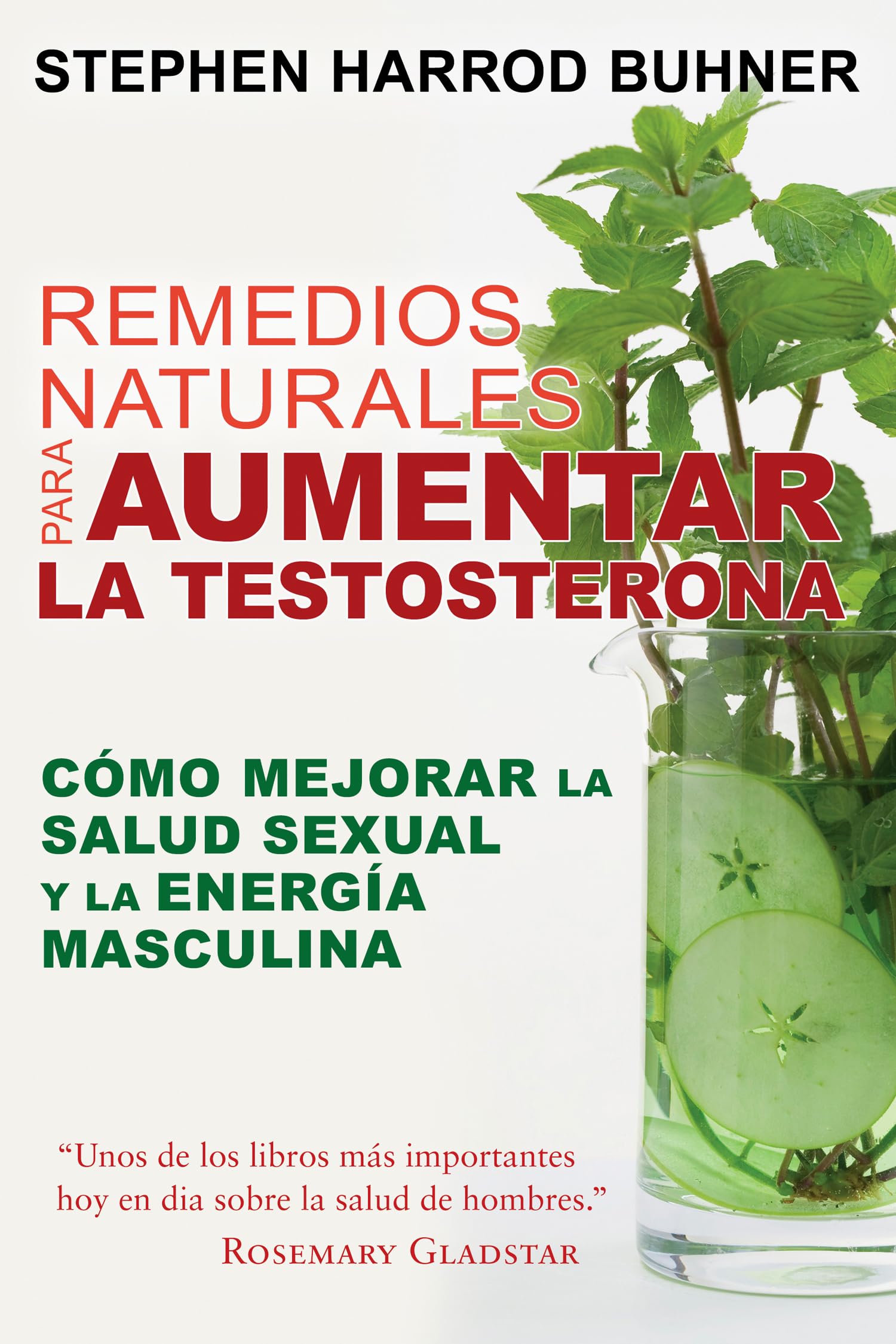 Remedios naturales para aumentar la testosterona: Cómo mejorar la salud sexual y la energía masculina book