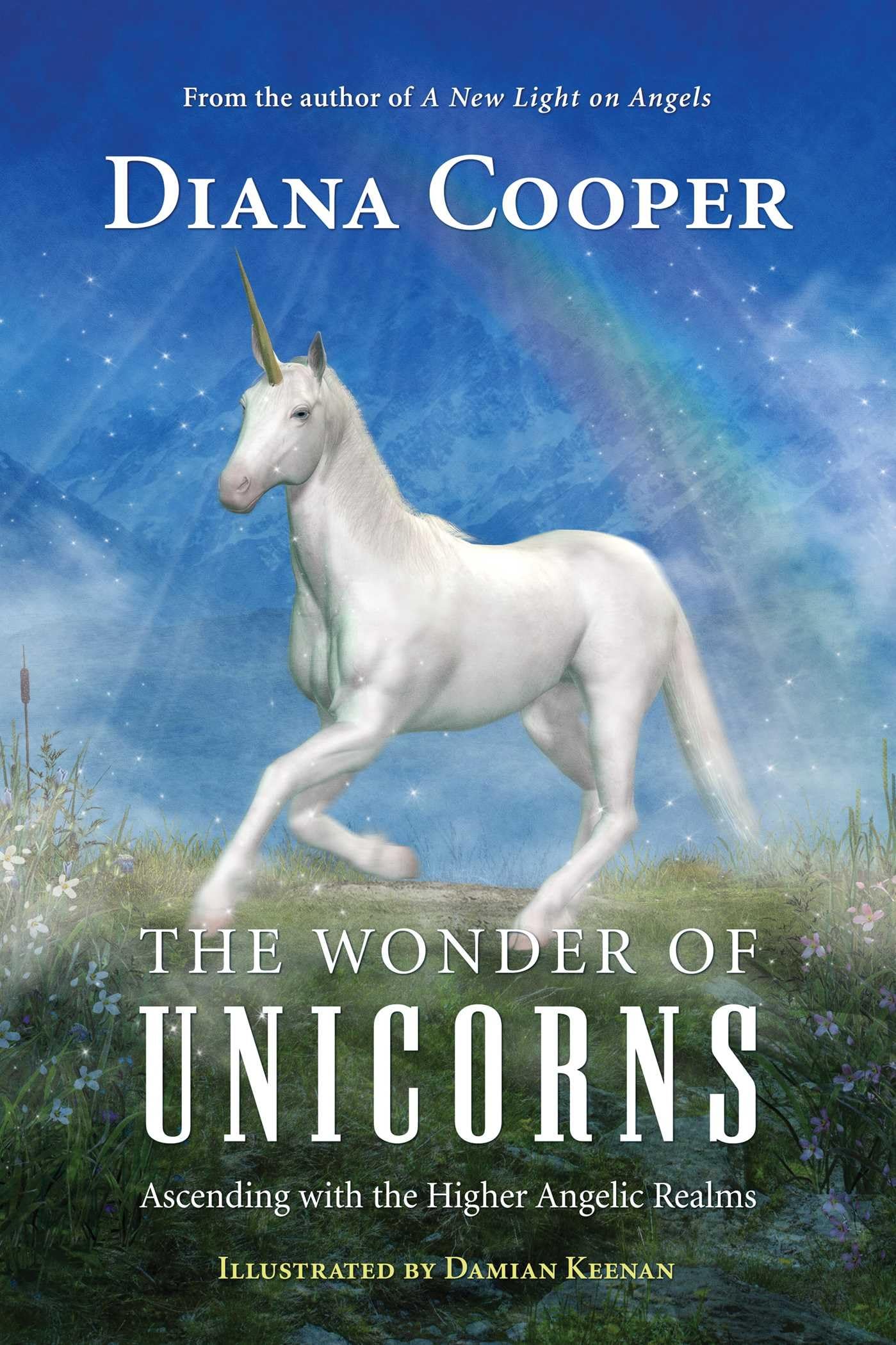 The Wonder of Unicorns Social Sciences