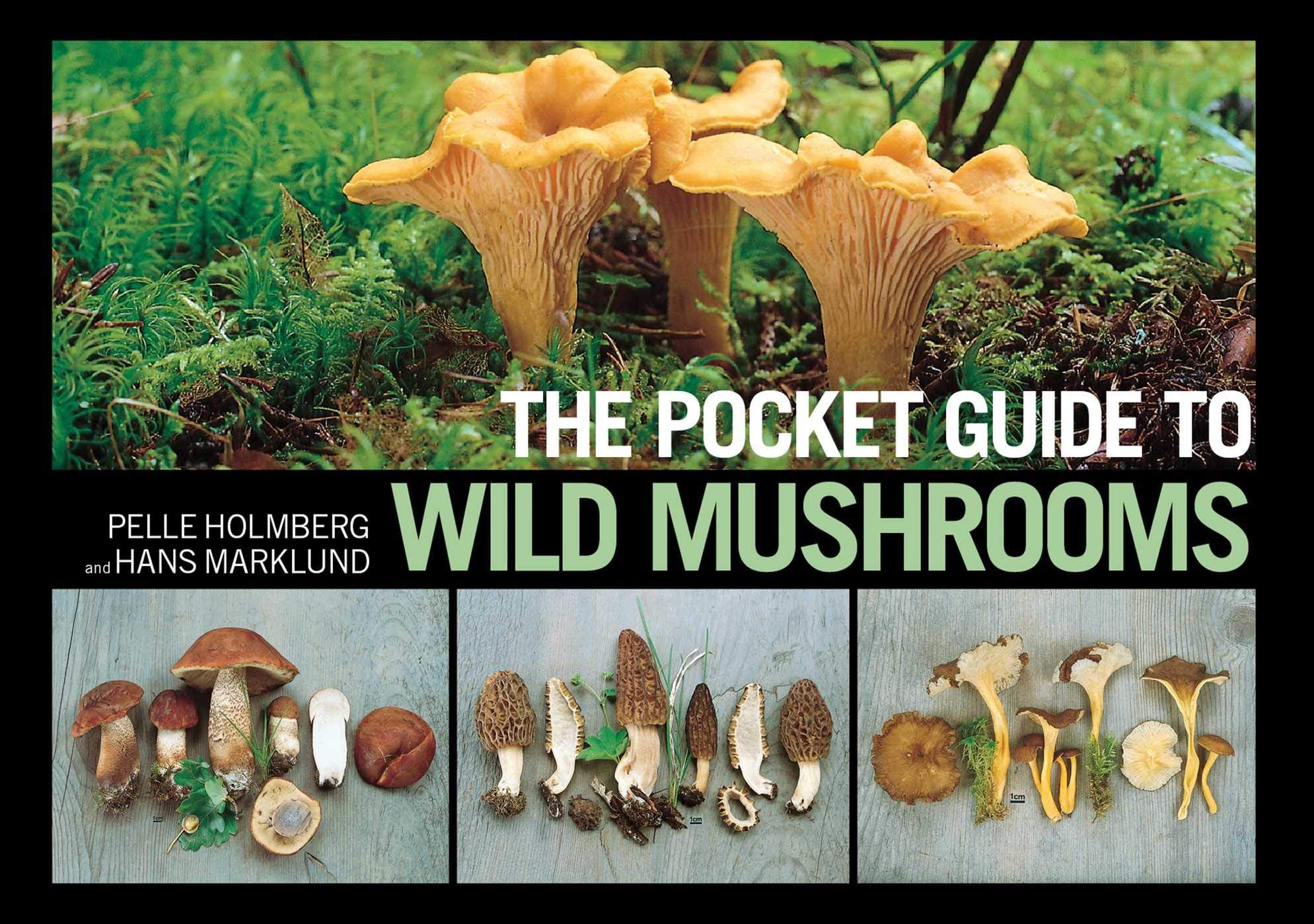 The Pocket Guide to Wild Mushrooms: Helpful Tips for Mushrooming in the Field Mathematics