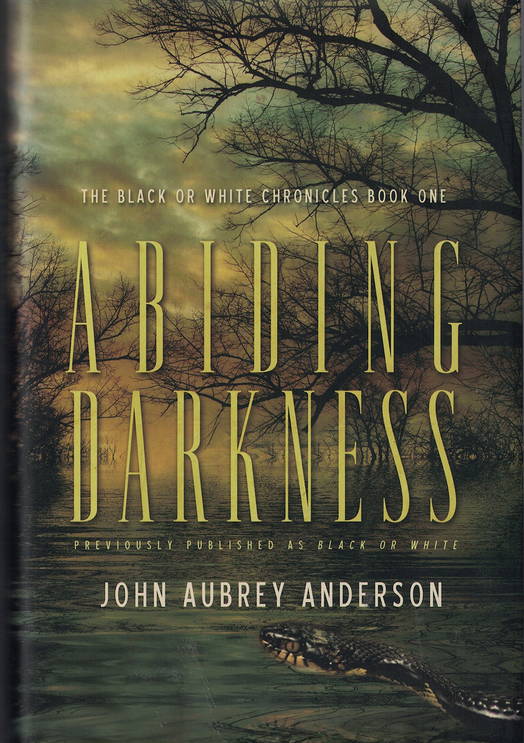 Abiding Darkness: The Black And White Chronicles Book One (Black or White Chronicles, Band 1) Contemporary literature