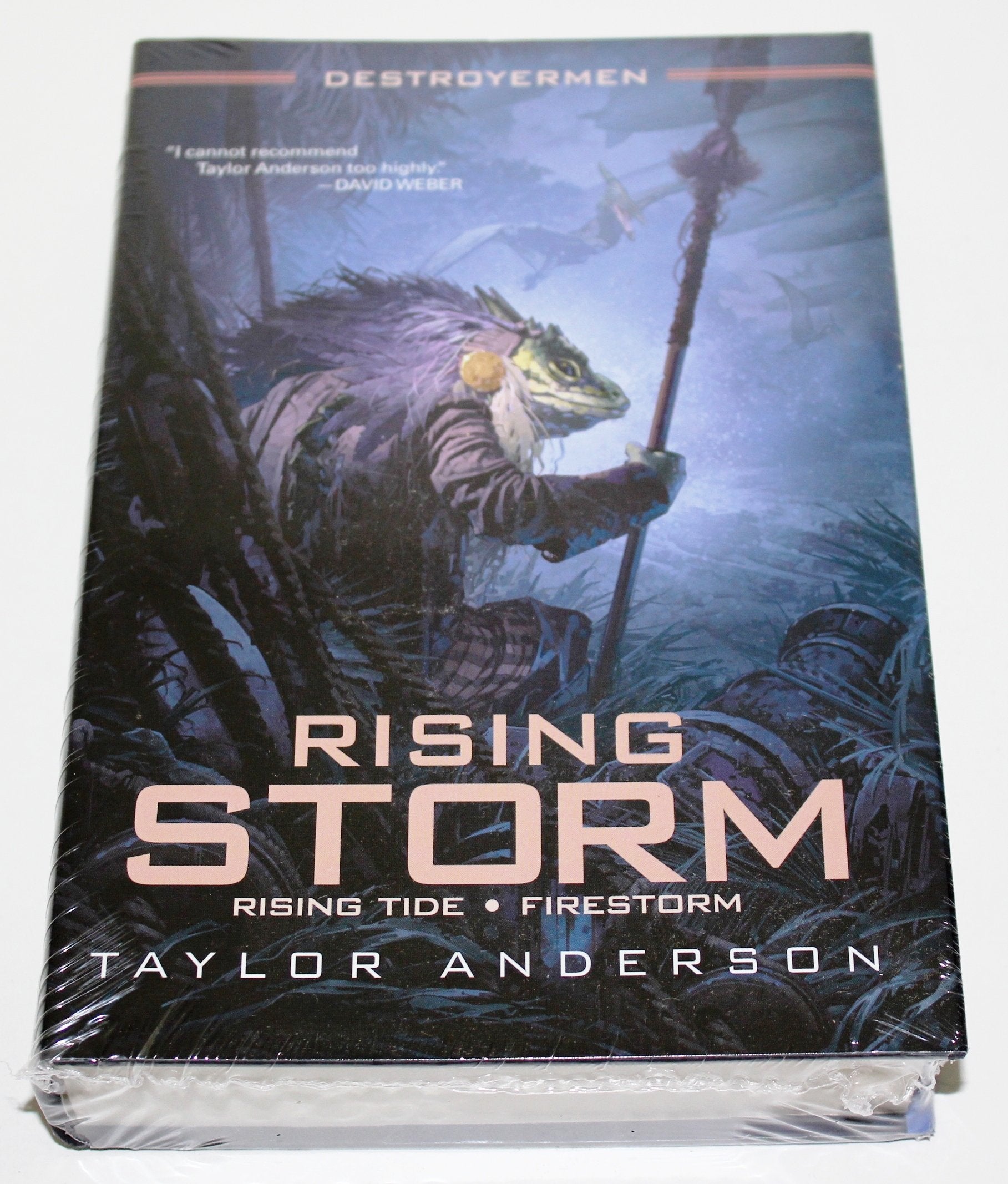 Destroyermen: Rising Storm (Rising Tide, Firestorm) Books