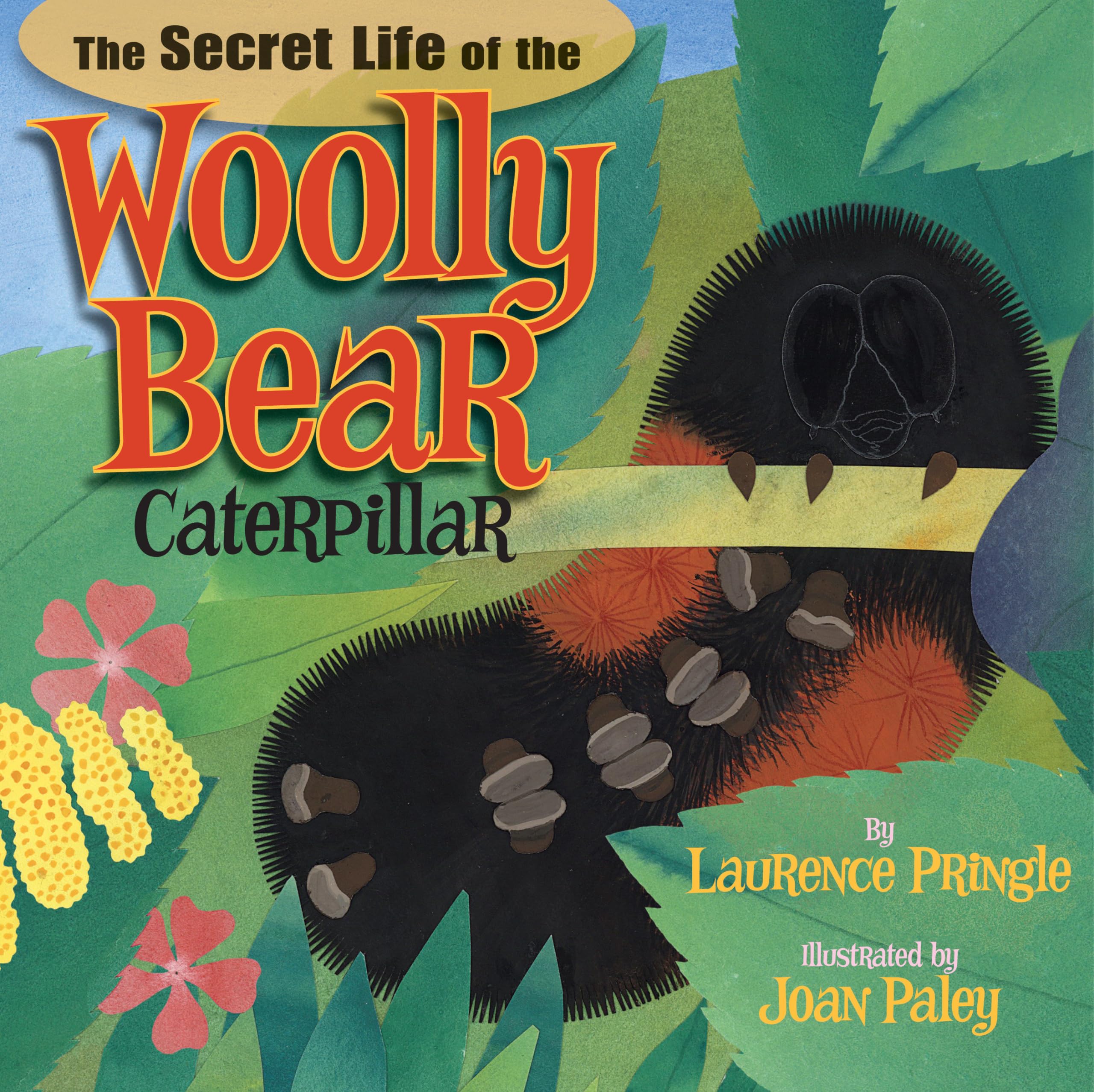 The Secret Life of the Woolly Bear Caterpillar Non-fiction