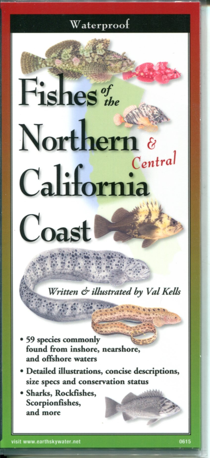 Fishes of Northern & Central California Coast Mathematics