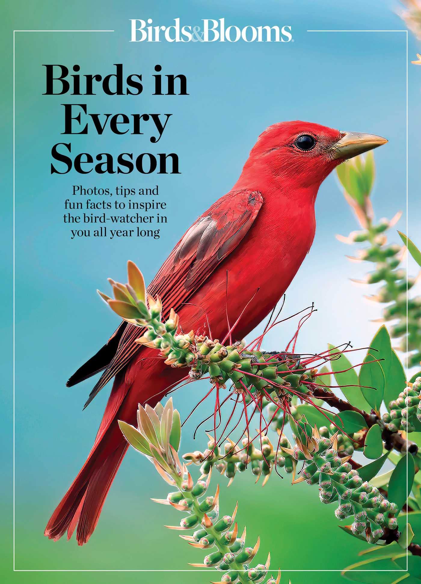 Birds In Every Season: Cherish the Feathered Flyers in Your Yard All Year Long (Birds & Blooms) Mathematics