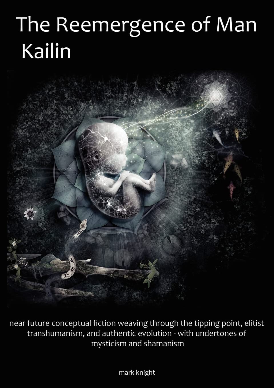 The Reemergence of Man, Kailin Books
