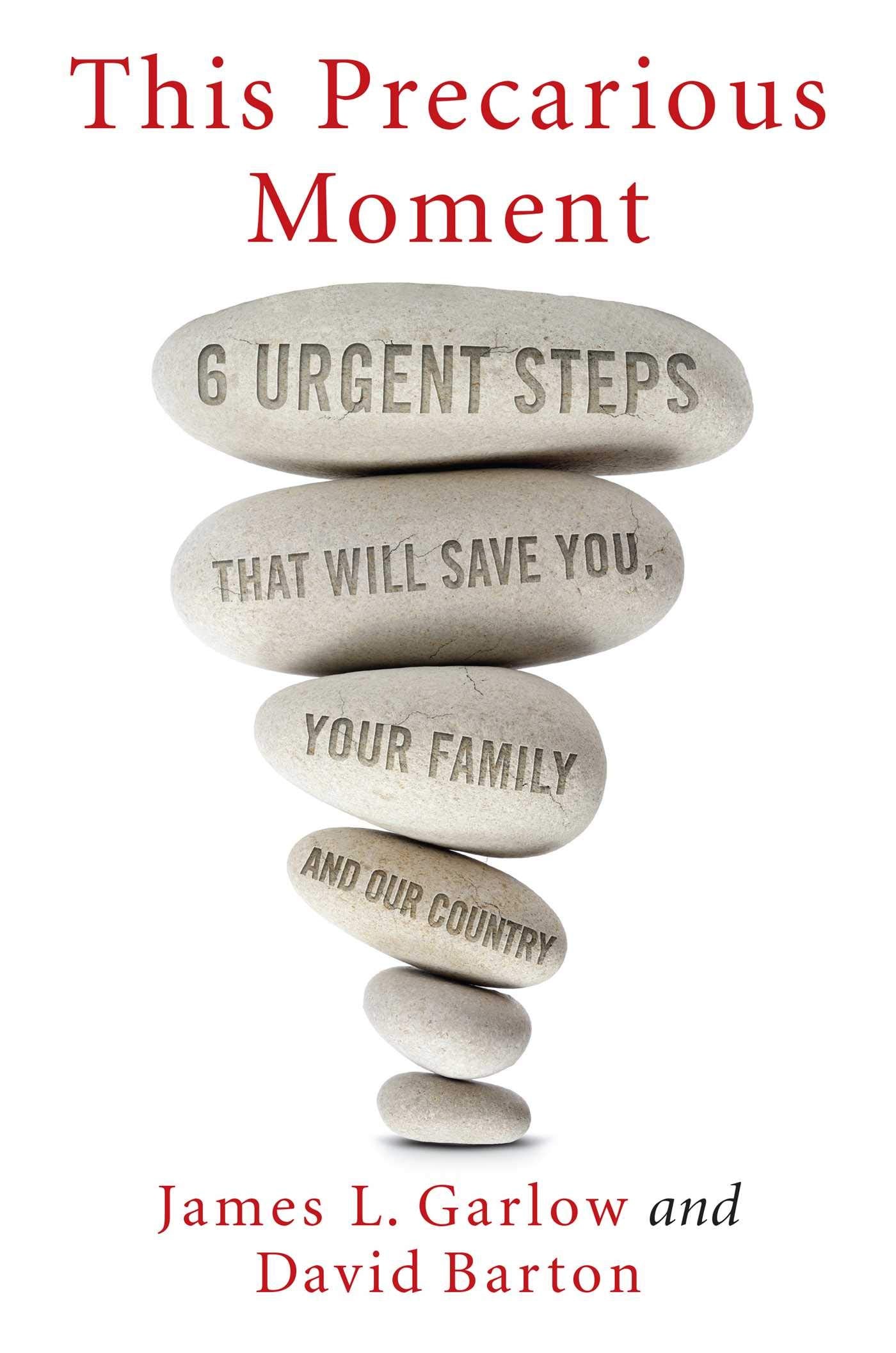 This Precarious Moment: Six Urgent Steps that Will Save You, Your Family, and Our Country Politics & History