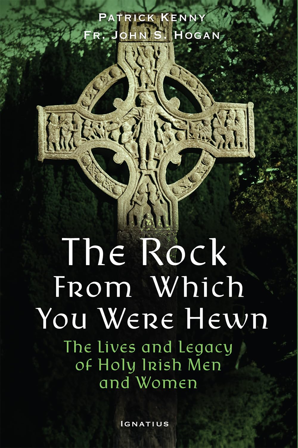 The Rock from Which You Were Hewn: The Lives and Legacy of Holy Irish Men and Women Politics & Society Books