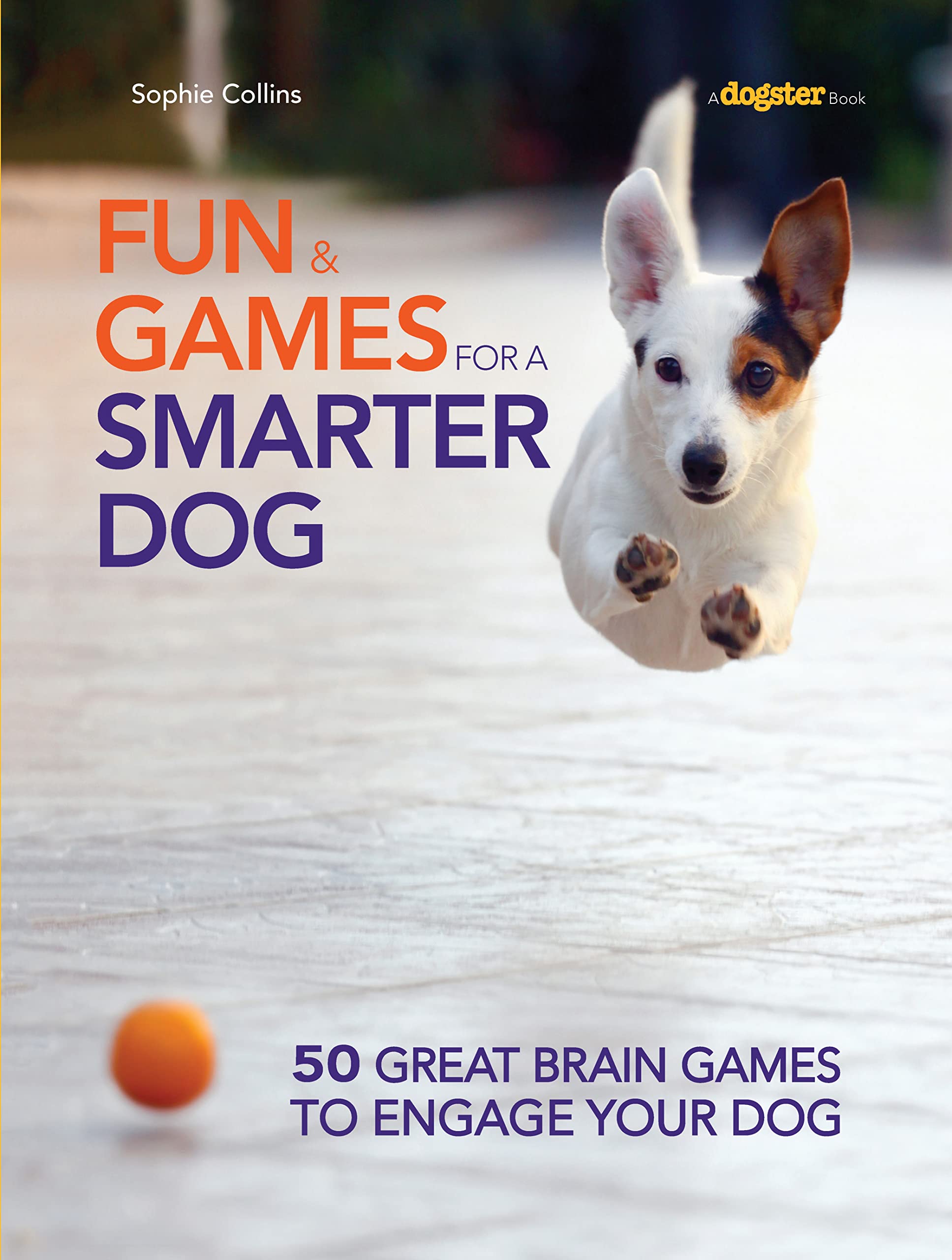 Fun and Games for a Smarter Dog: 50 Great Brain Games to Engage Your Dog Pets