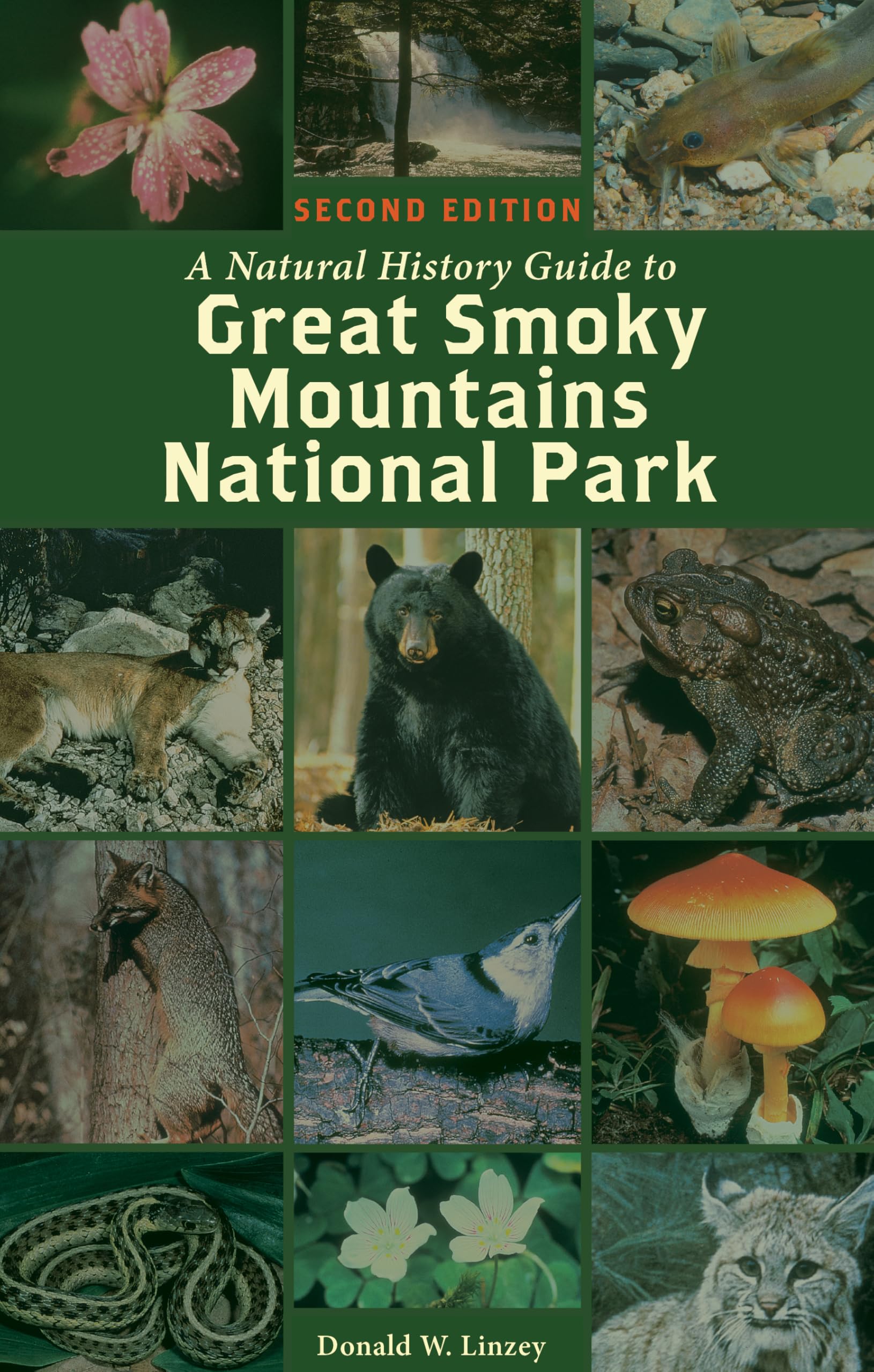Mammals of Great Smoky Mountains National Park Geology & Geography