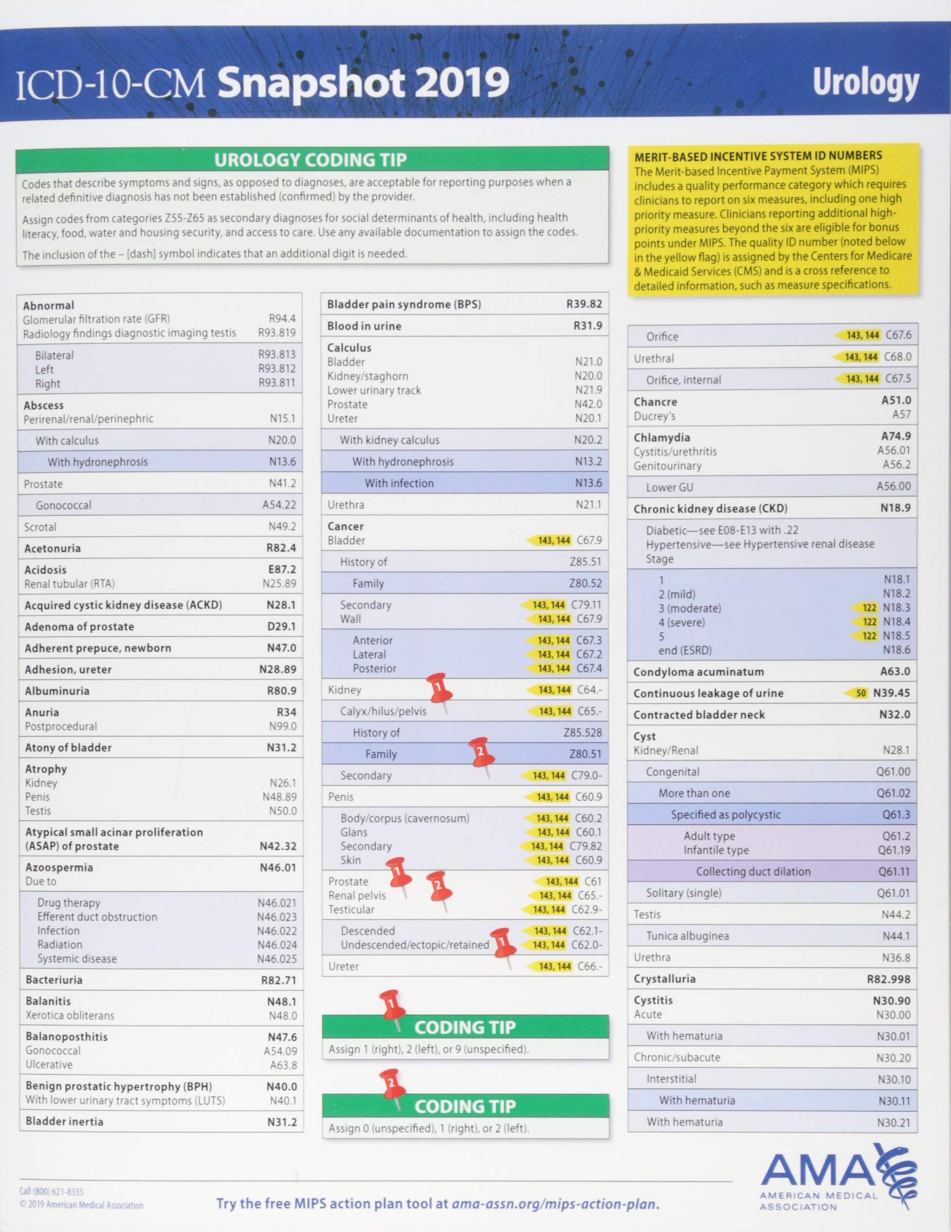 ICD-10-CM 2019 Snapshot Coding Card - Urology Medicine