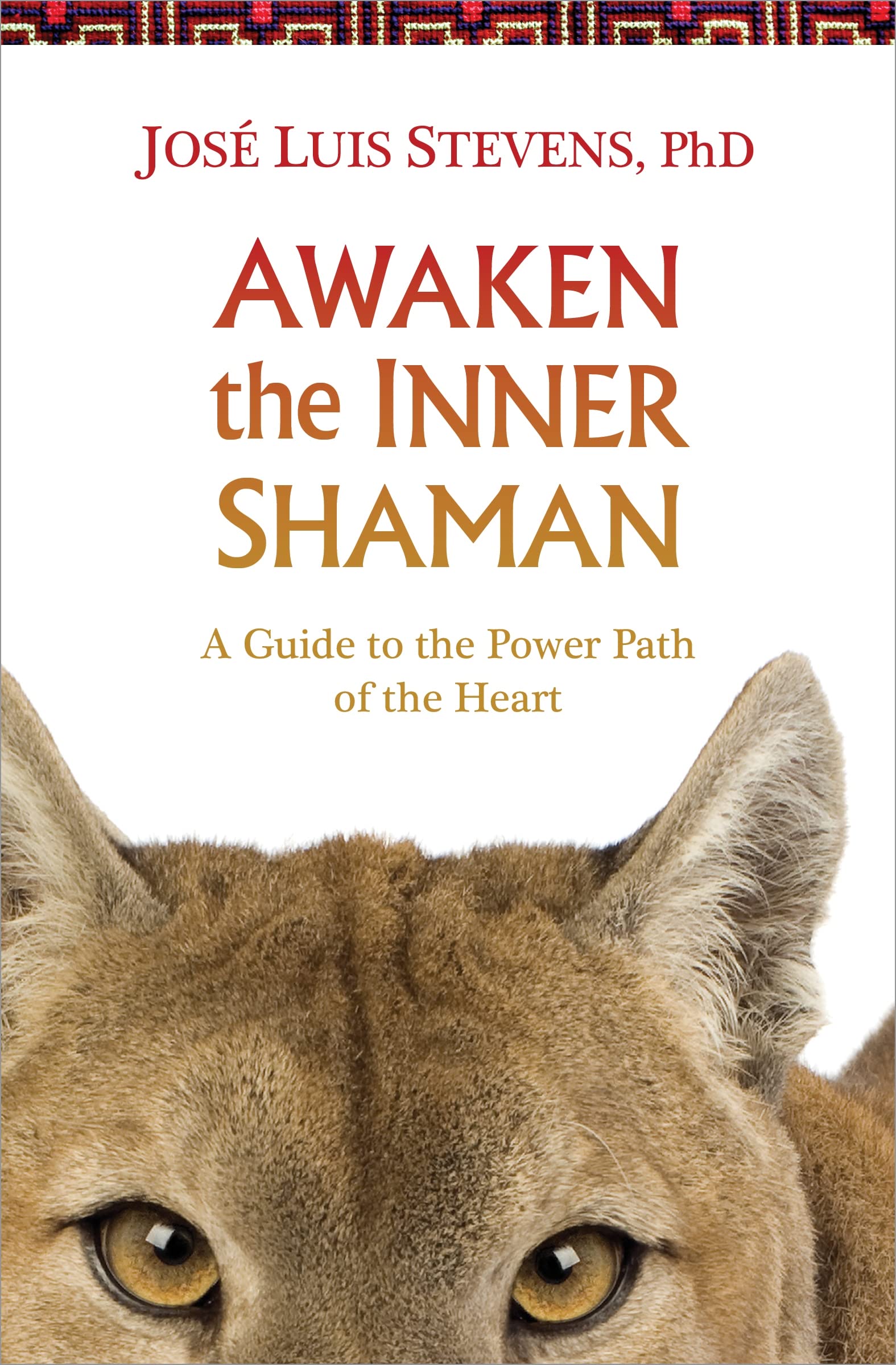 Awaken the Inner Shaman: A Guide to the Power Path of the Heart book