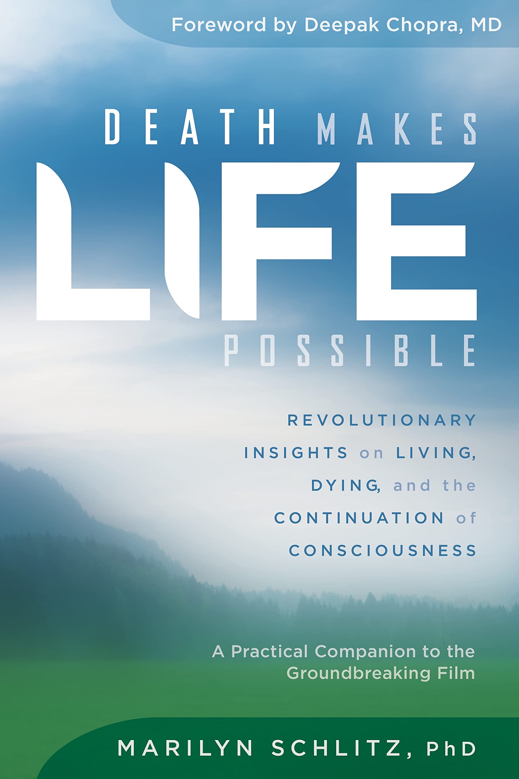 Death Makes Life Possible: Revolutionary Insights on Living, Dying, and the Continuation of Consciousness Business, Finance & Career