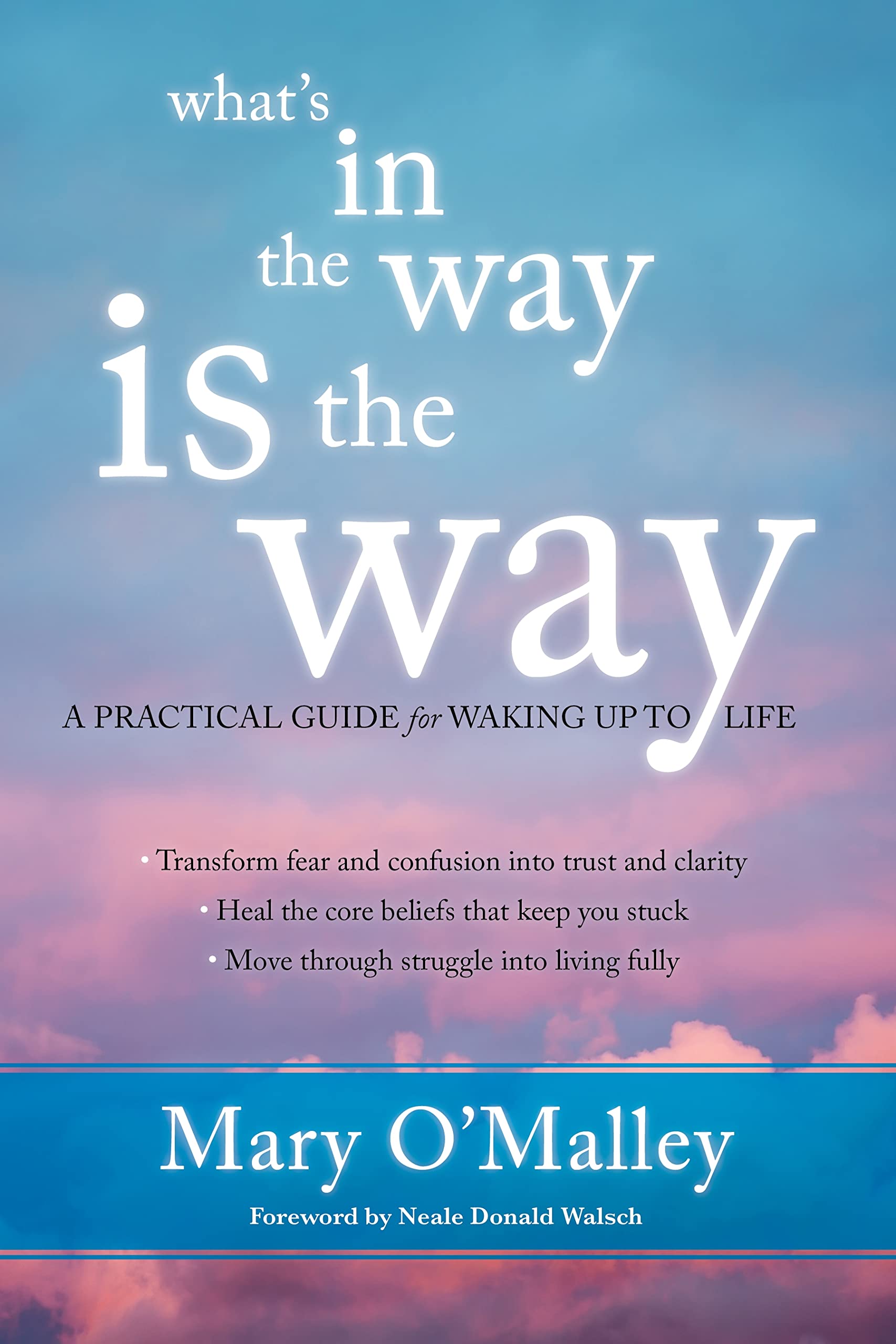 What's in the Way Is the Way Business, Finance & Career