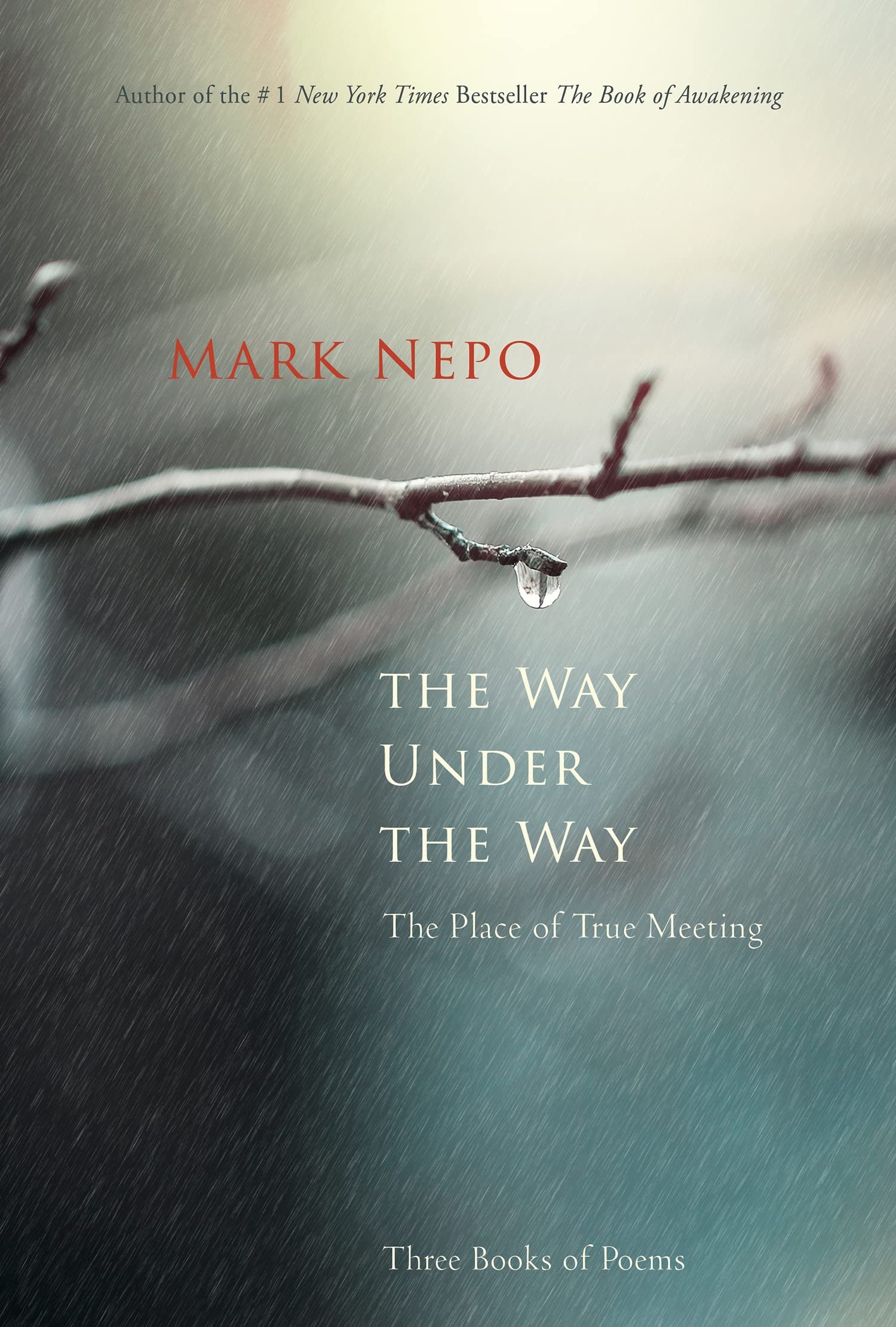 The Way Under the Way: The Place of True Meeting Poetry