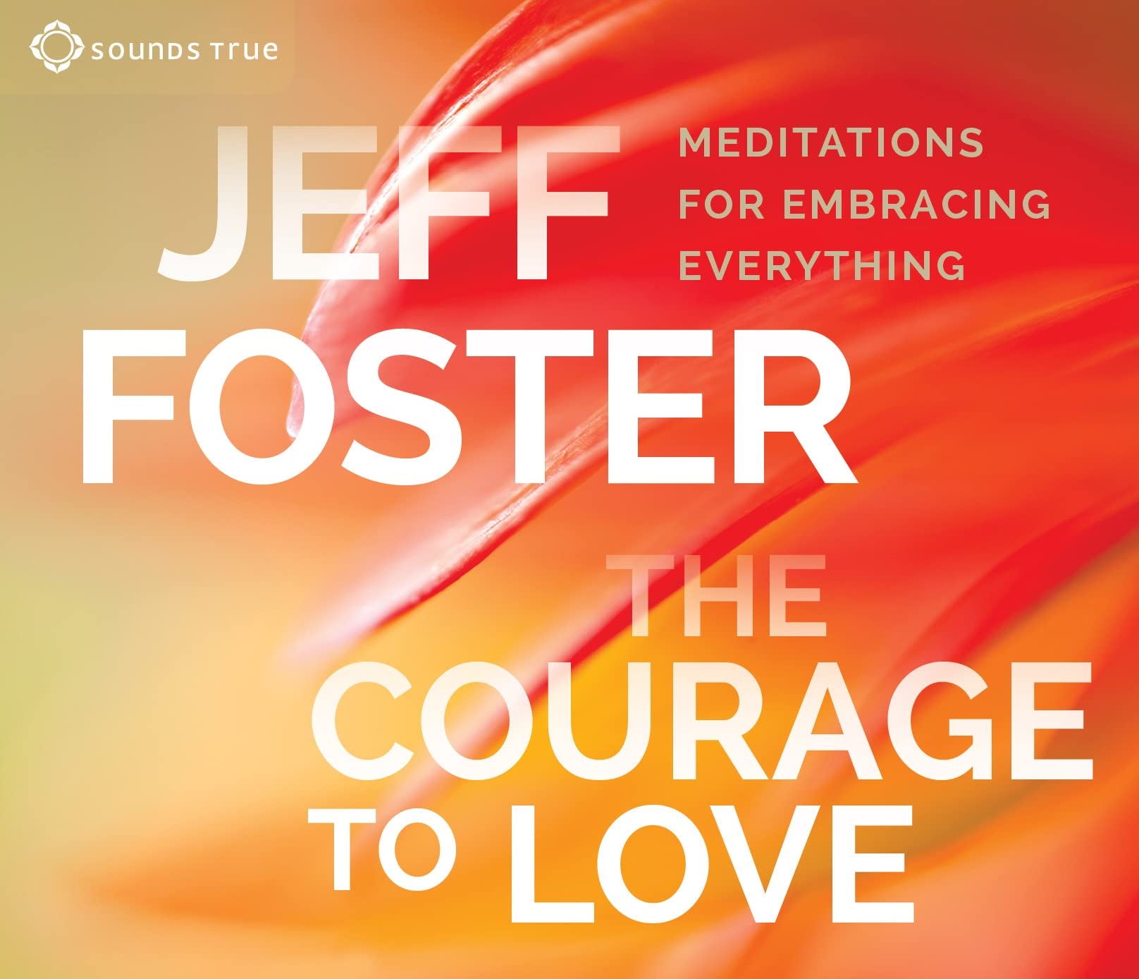 The Courage to Love: Meditations for Embracing Everything Lifestyle