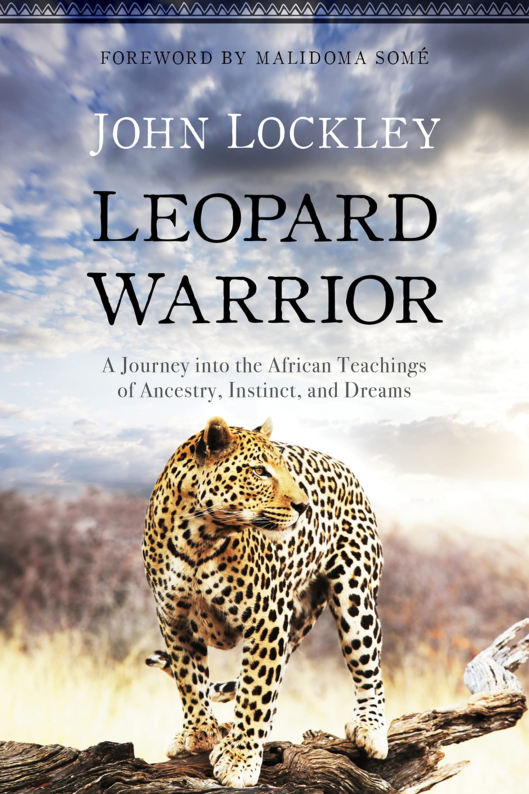 Leopard Warrior: A Journey into the African Teachings of Ancestry, Instinct, and Dreams Social Sciences