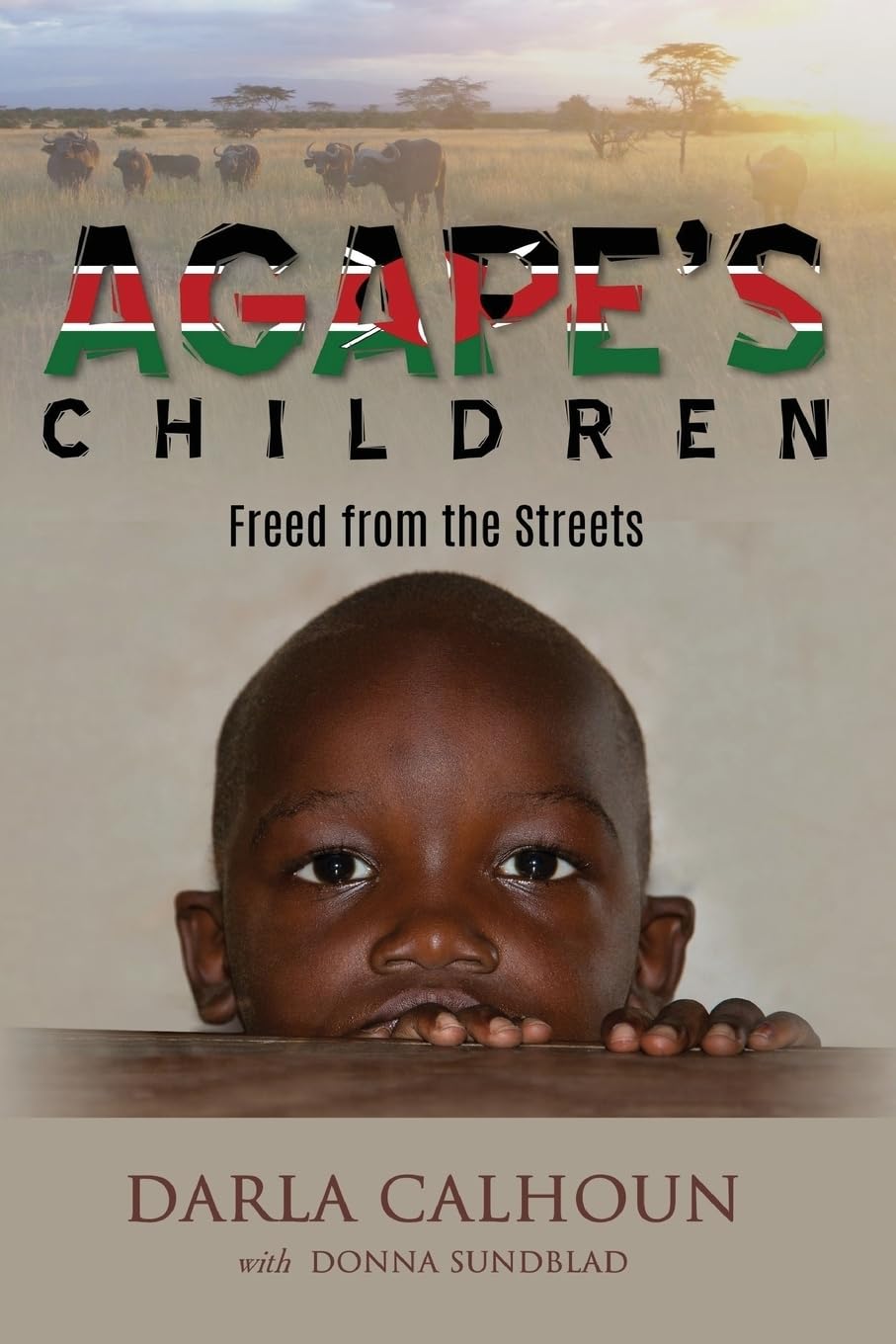 Agape's Children: Freed from the Streets Politics & Society