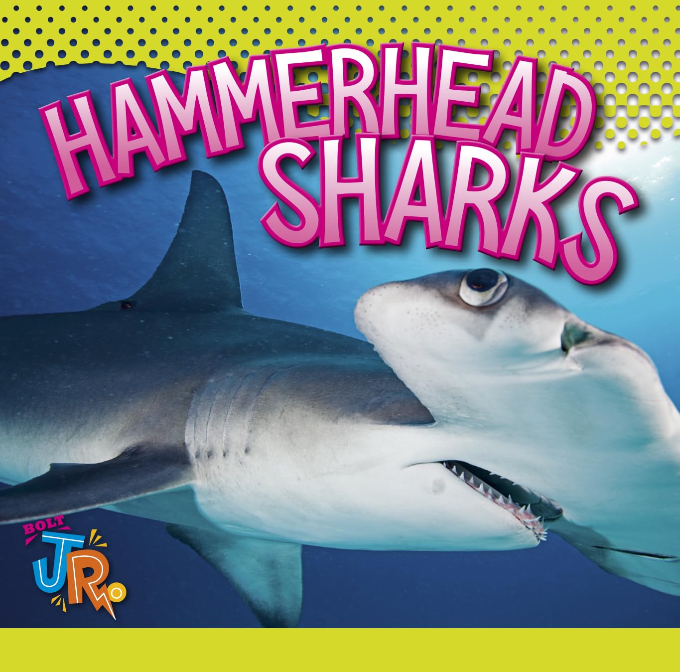 Hammerhead Sharks (World of Sharks) Mathematics