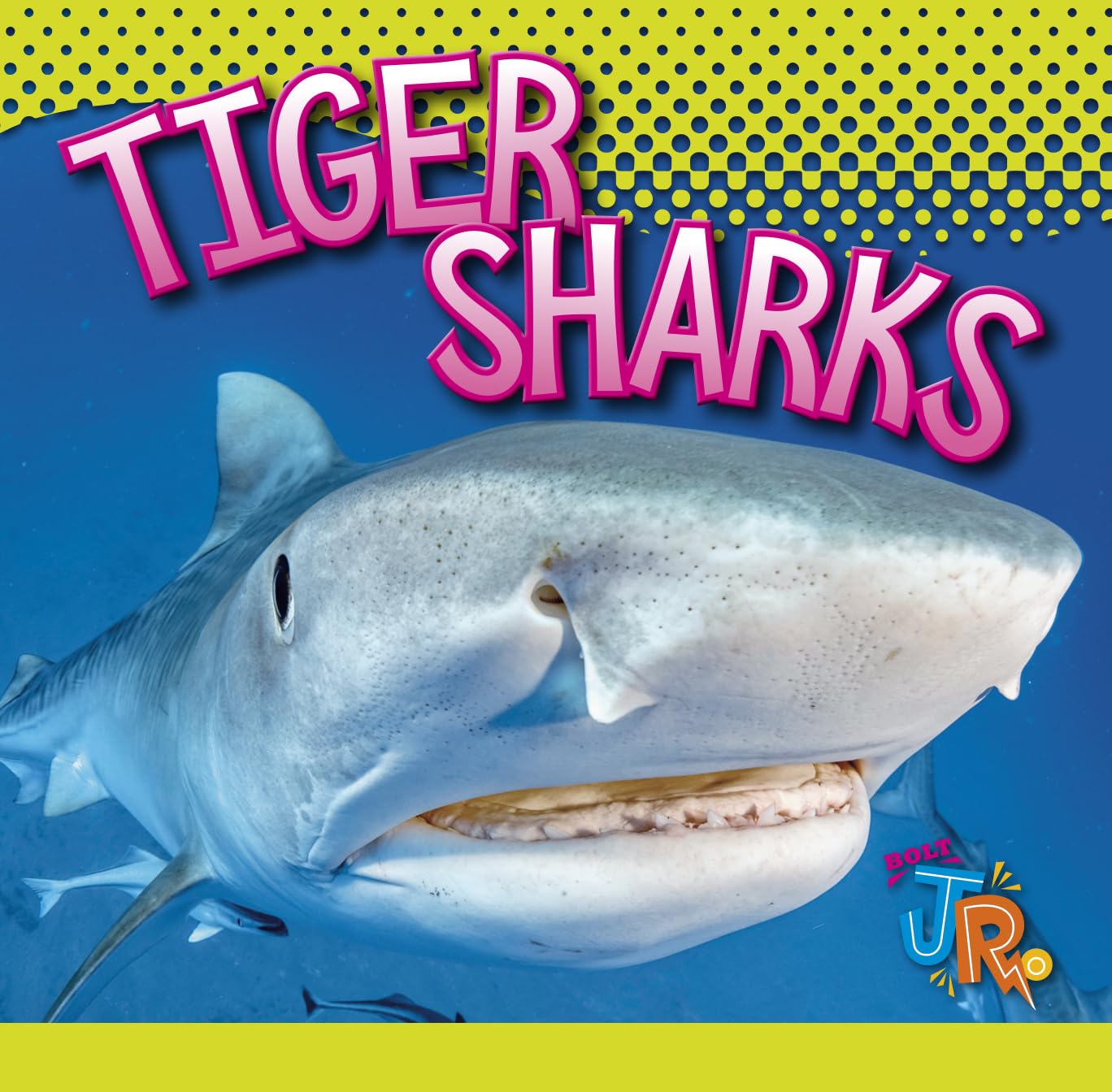Tiger Sharks (World of Sharks) Mathematics