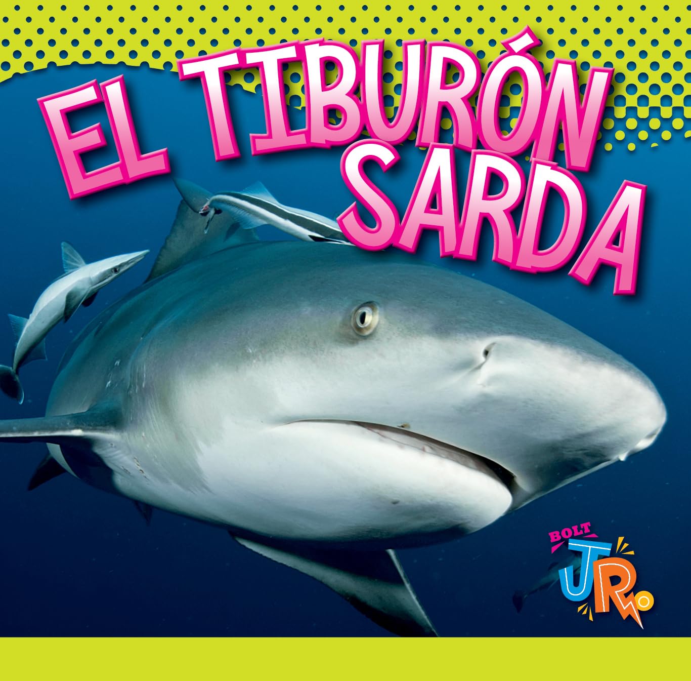 El tiburón sarda (El mundo de tiburones) Non-fiction