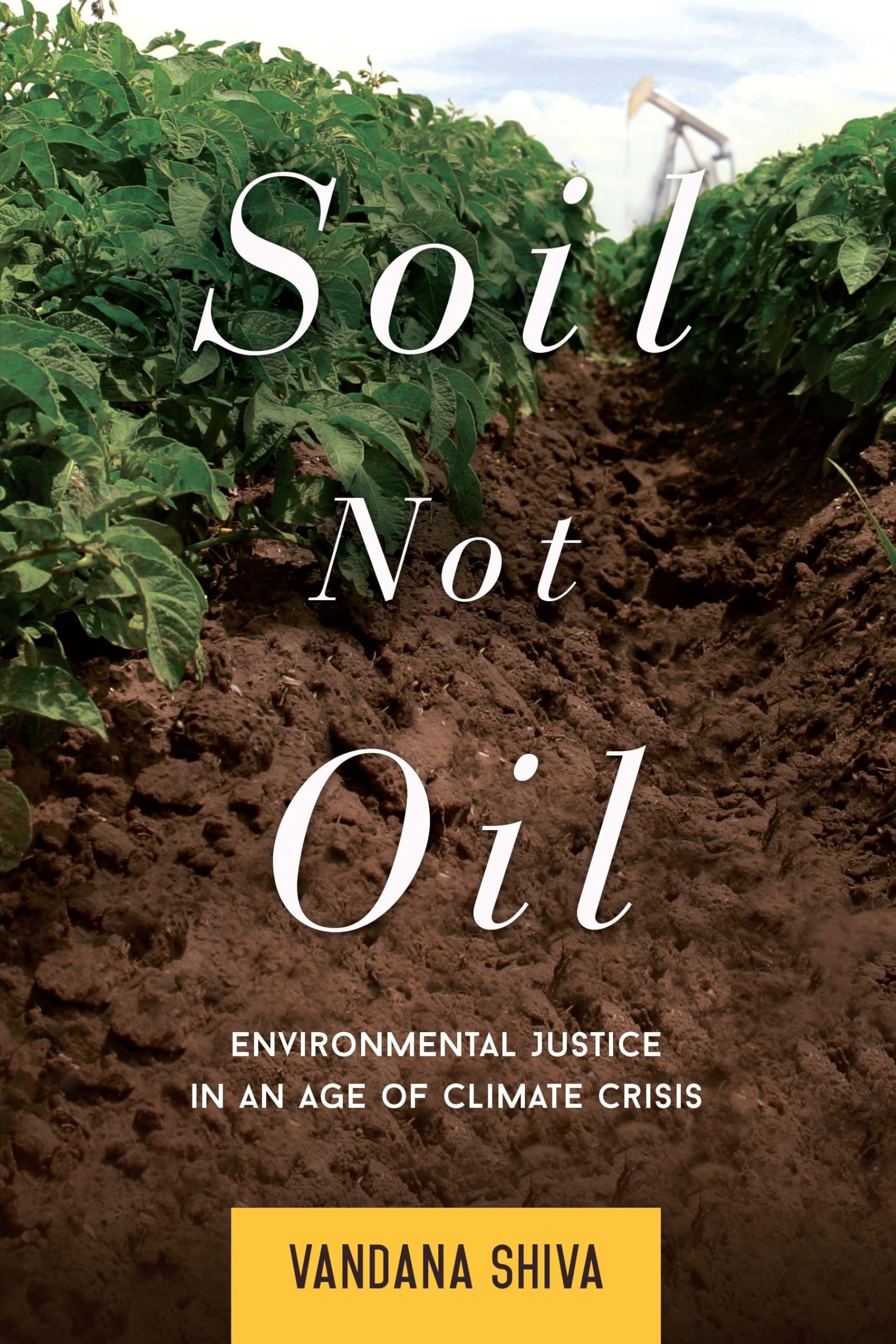Soil Not Oil: Environmental Justice in an Age of Climate Crisis. book