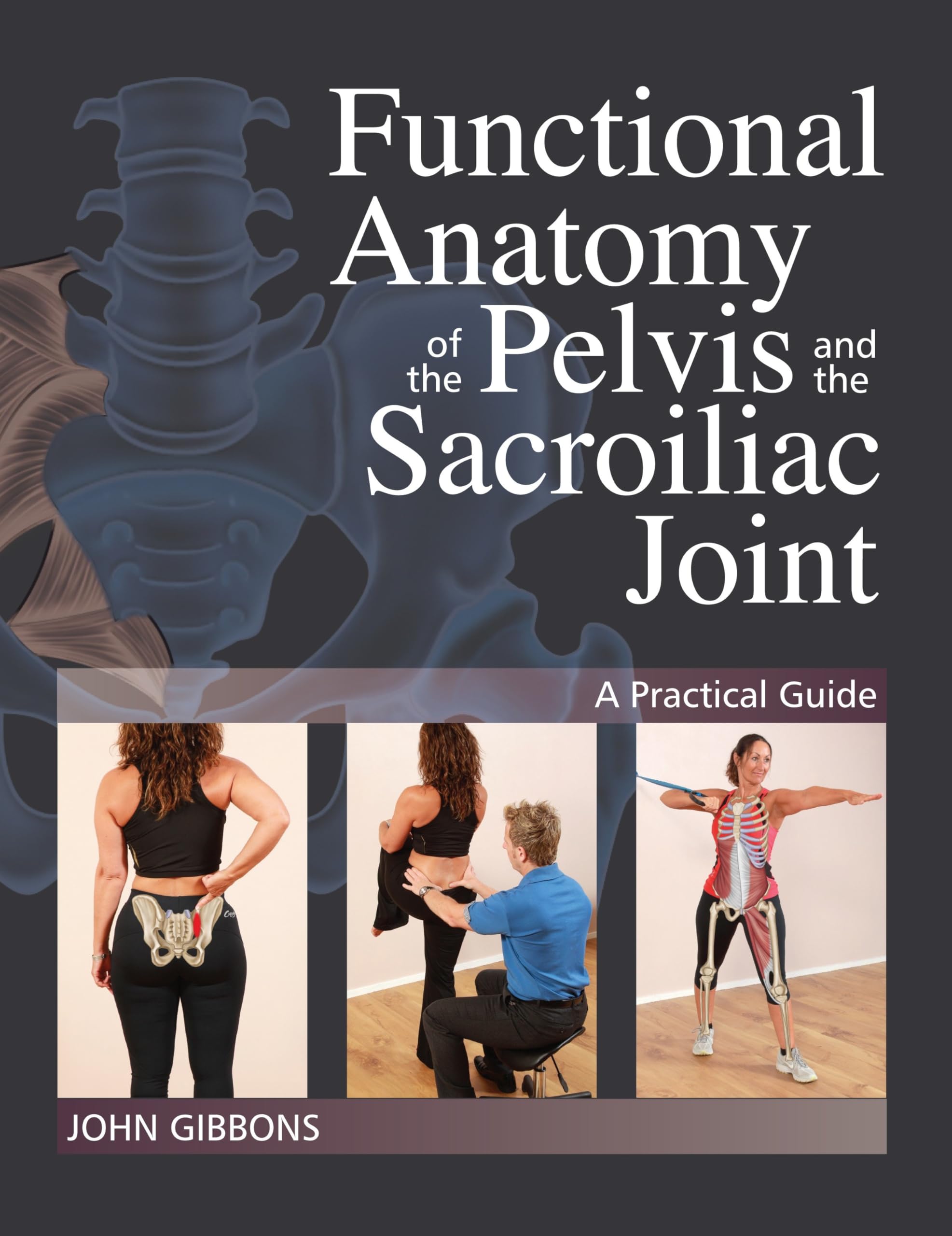 Functional Anatomy of the Pelvis and the Sacroiliac Joint: A Practical Guide Medicine