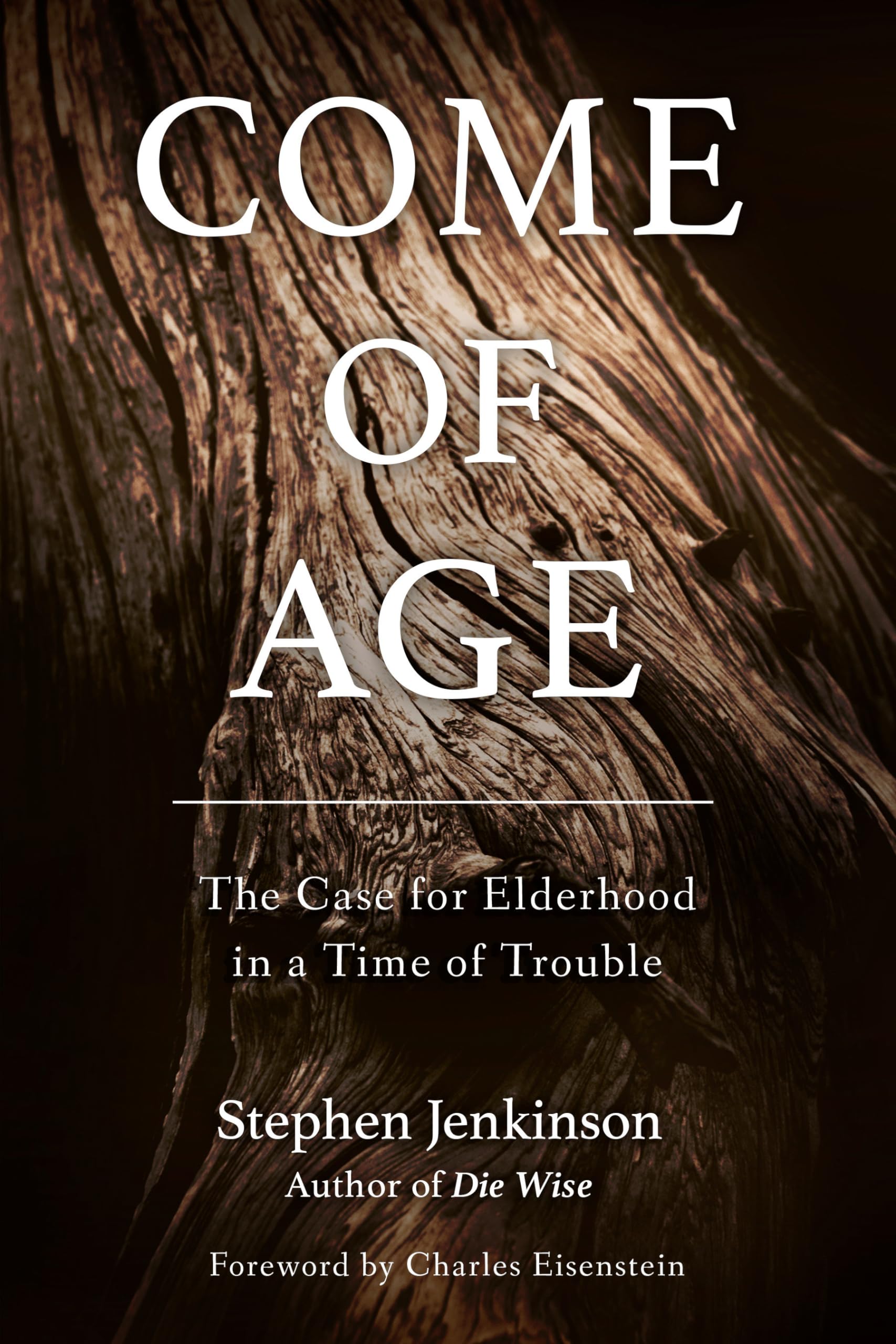 Come of Age: The Case for Elderhood in a Time of Trouble book