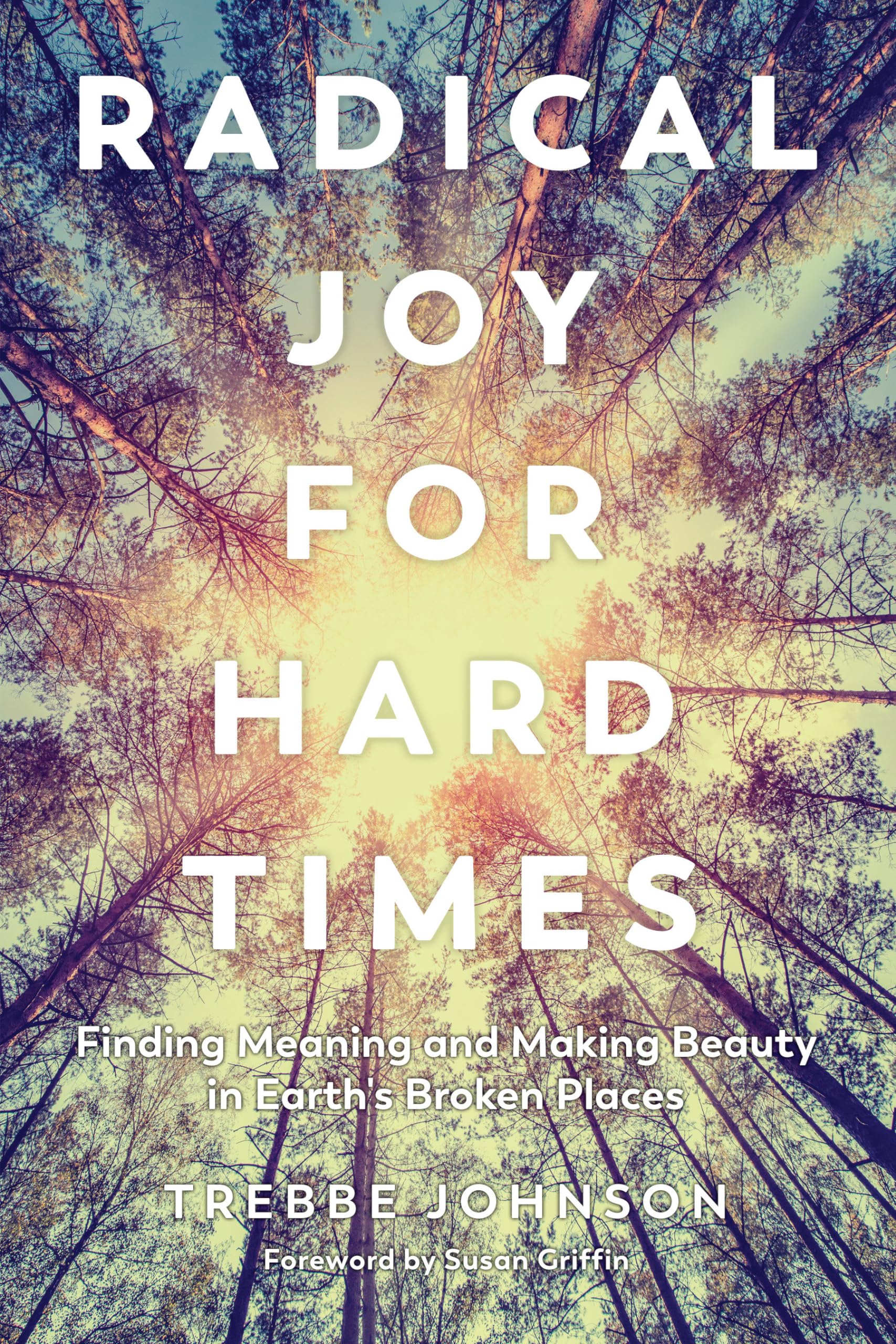 Radical Joy for Hard Times Business, Finance & Career Books