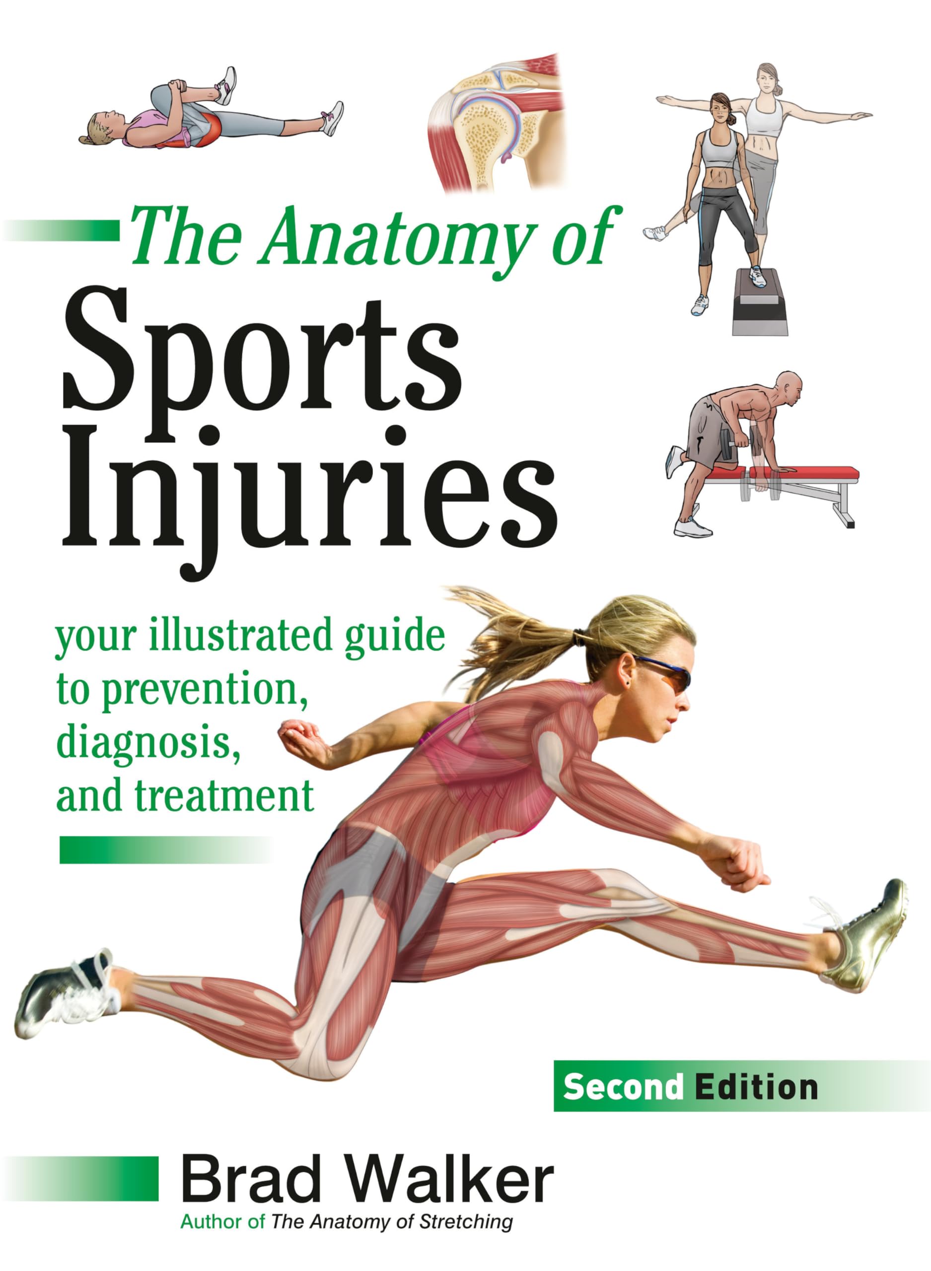 The Anatomy of Sports Injuries, Second Edition: Your Illustrated Guide to Prevention, Diagnosis, and Treatment Medicine
