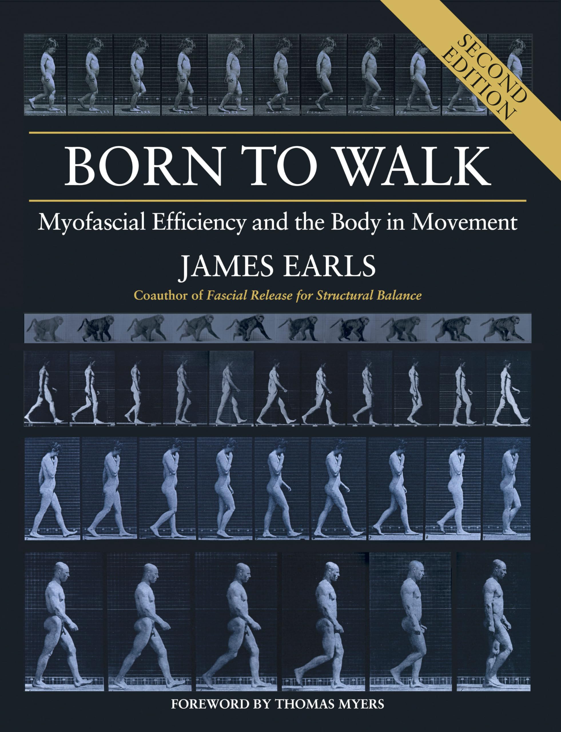 Born to Walk: Myofascial Efficiency and the Body in Movement Medicine