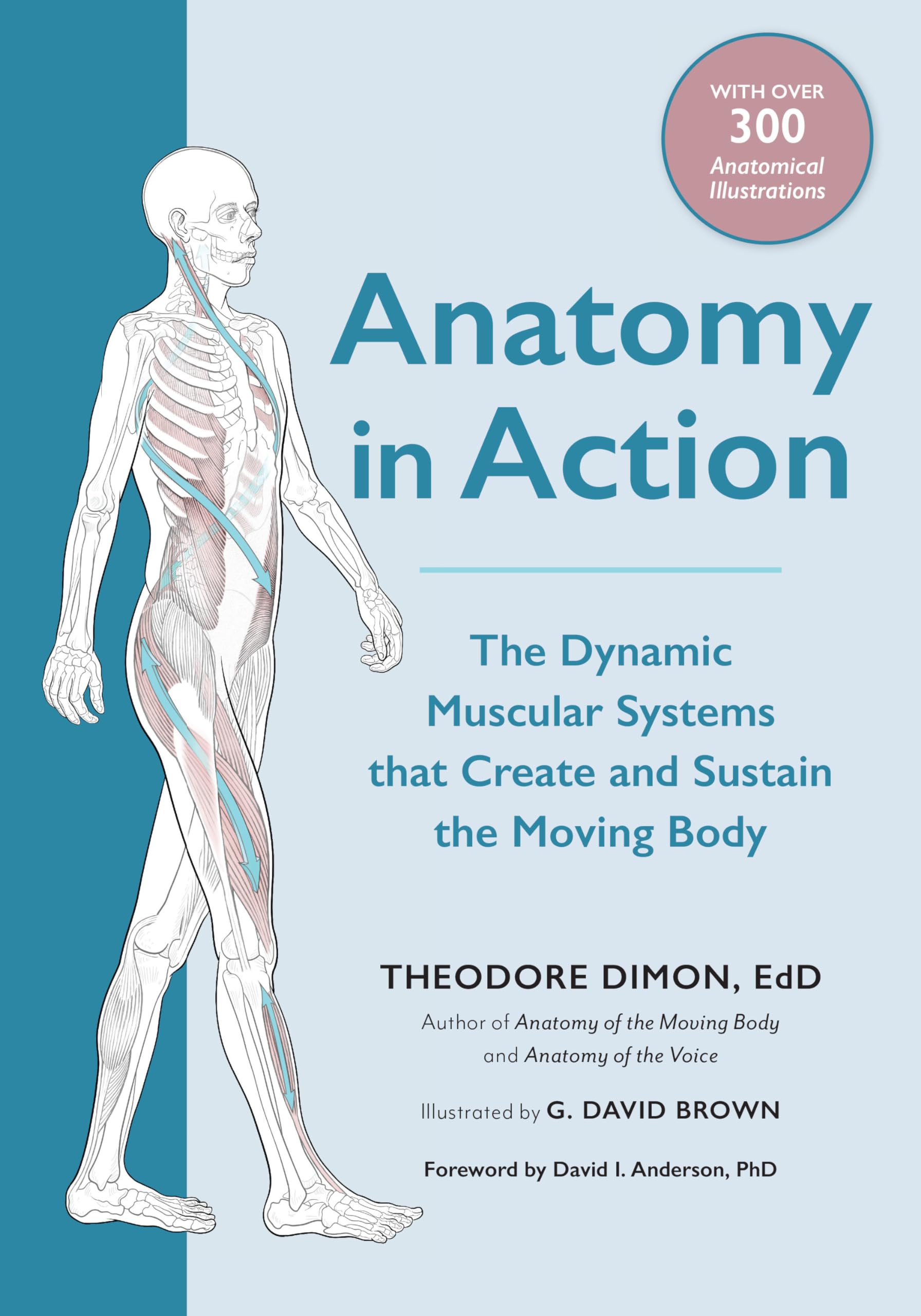 Anatomy in Action: The Dynamic Muscular Systems that Create and Sustain the Moving Body Medicine