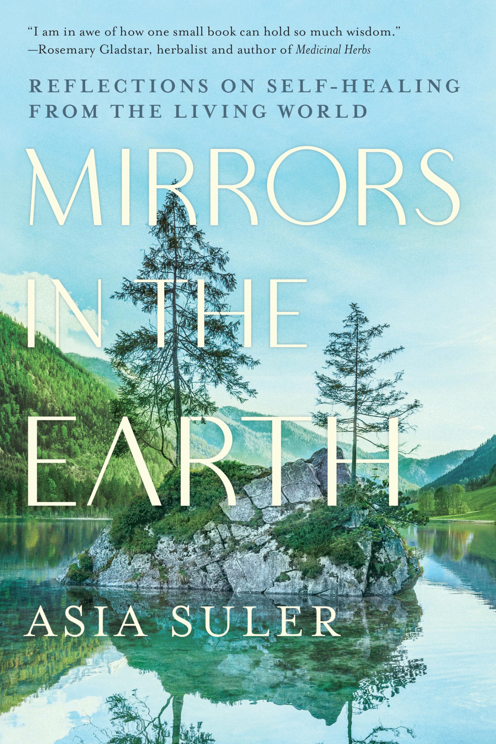 Mirrors in the Earth Business, Finance & Career Books
