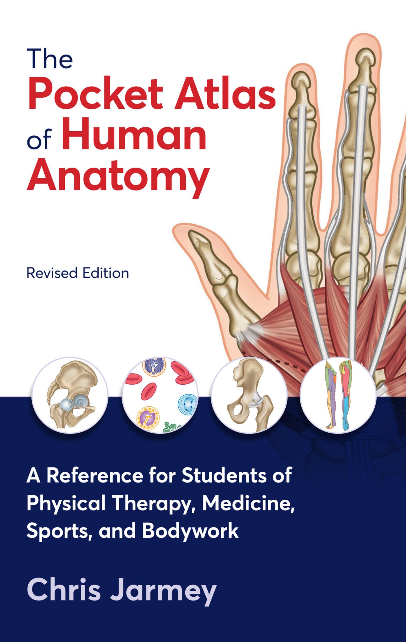 The Pocket Atlas of Human Anatomy: A Reference for Students of Physical Therapy, Medicine, Sports, and Bodywork Medicine