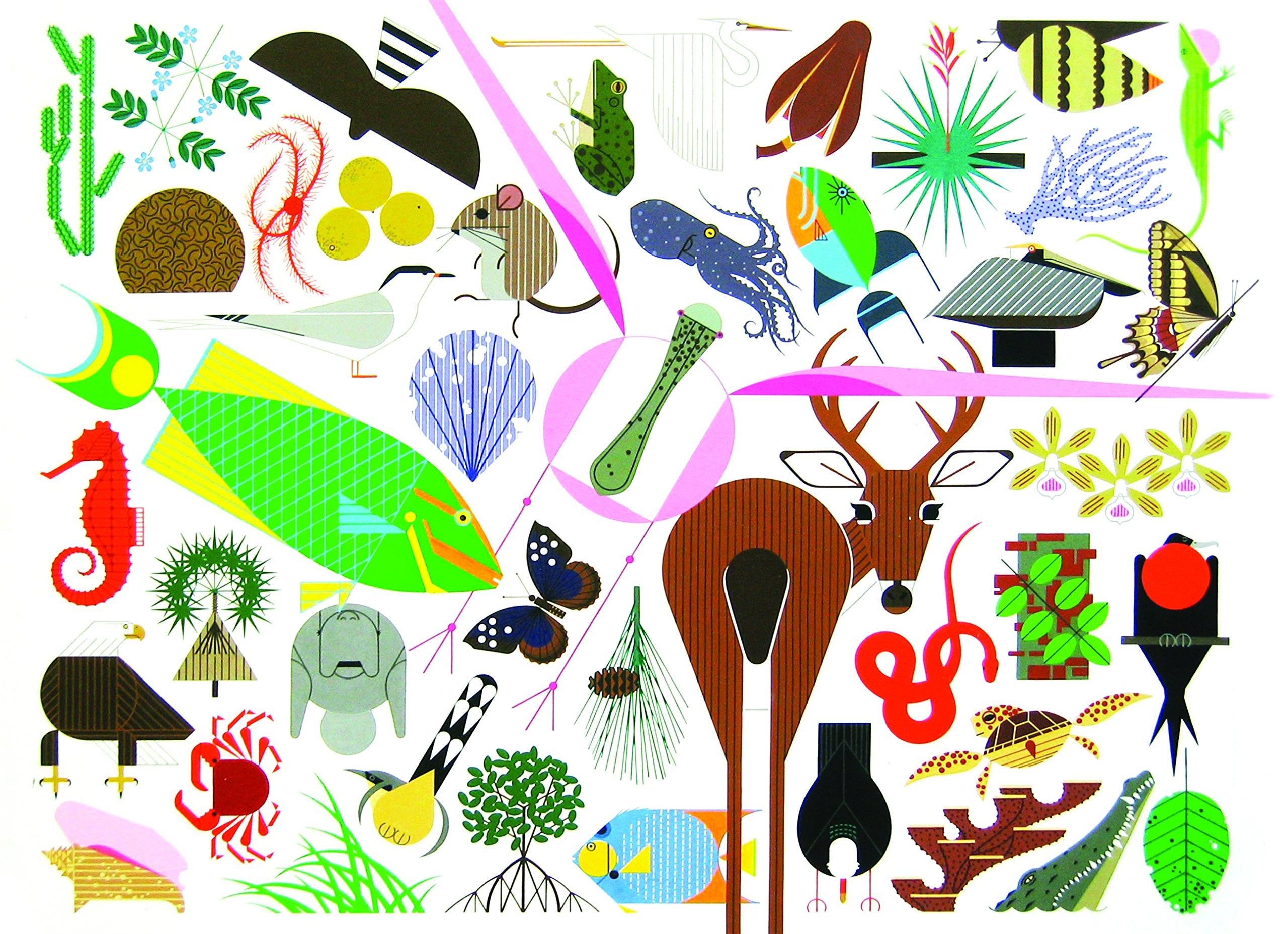 Charley Harper's Animal Kingdom: popular edition Film, Art & Culture