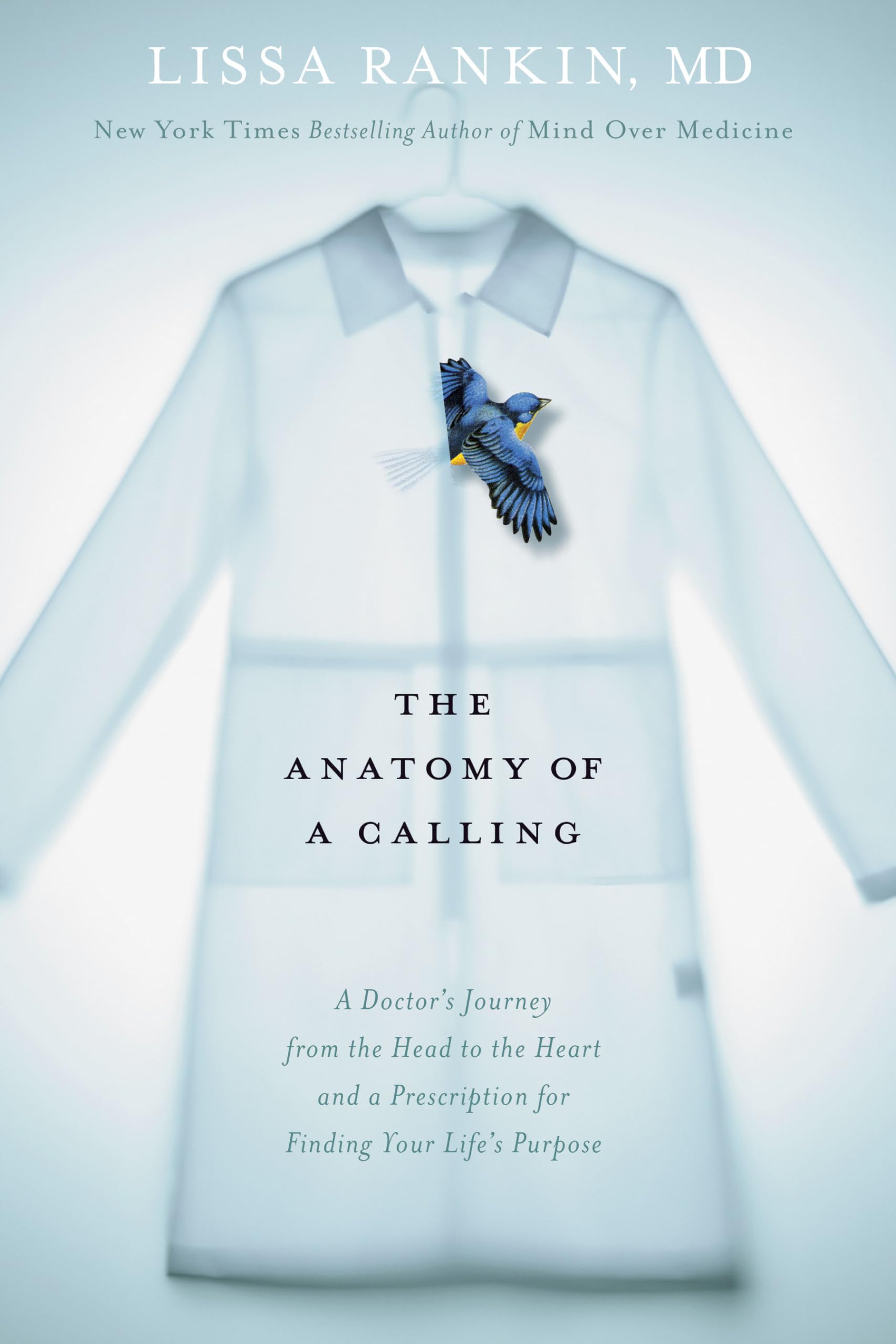 The Anatomy of a Calling Art & Literature