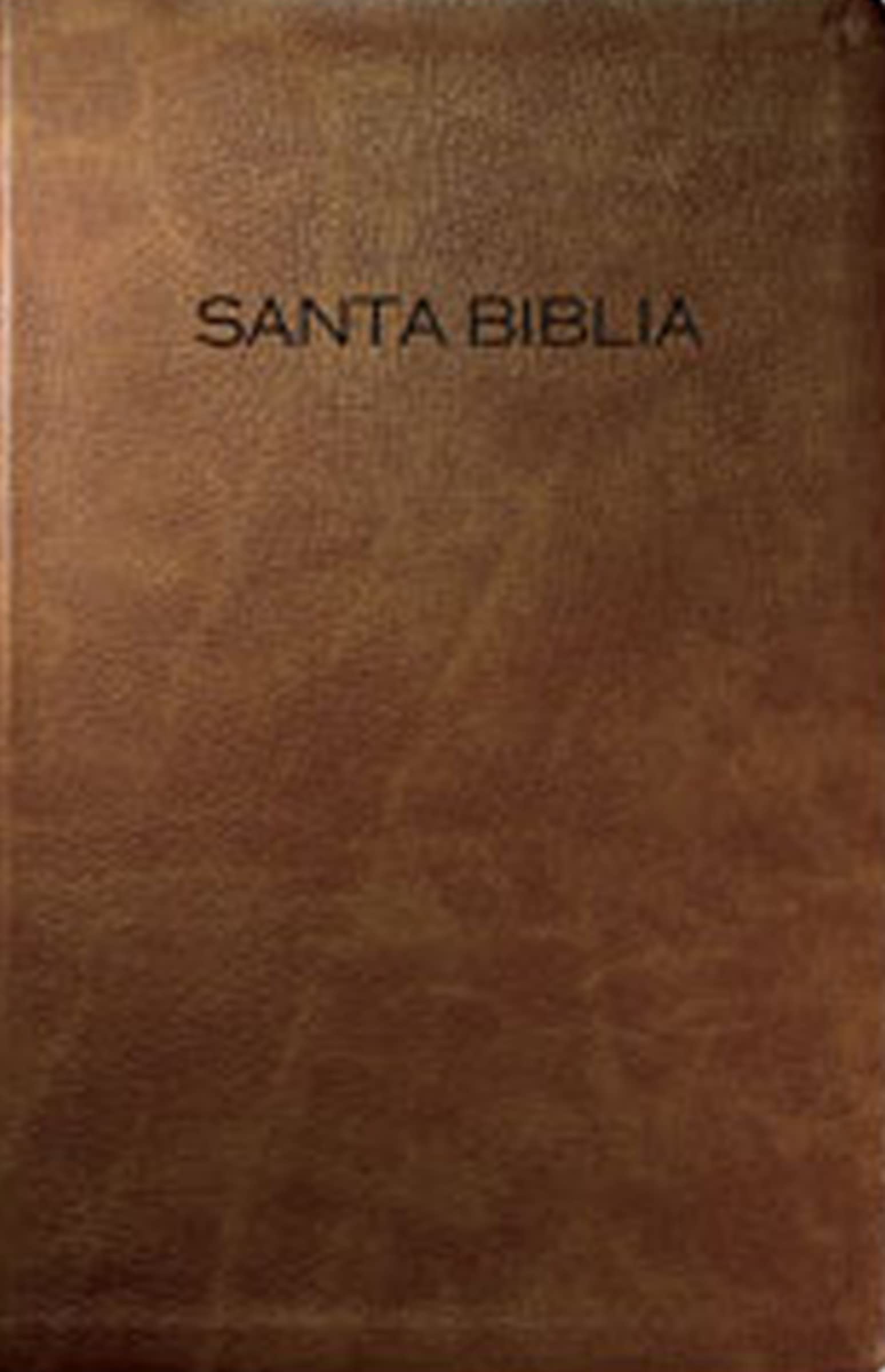 Biblia Para Regalo y Premio-NVI Film, Art & Culture