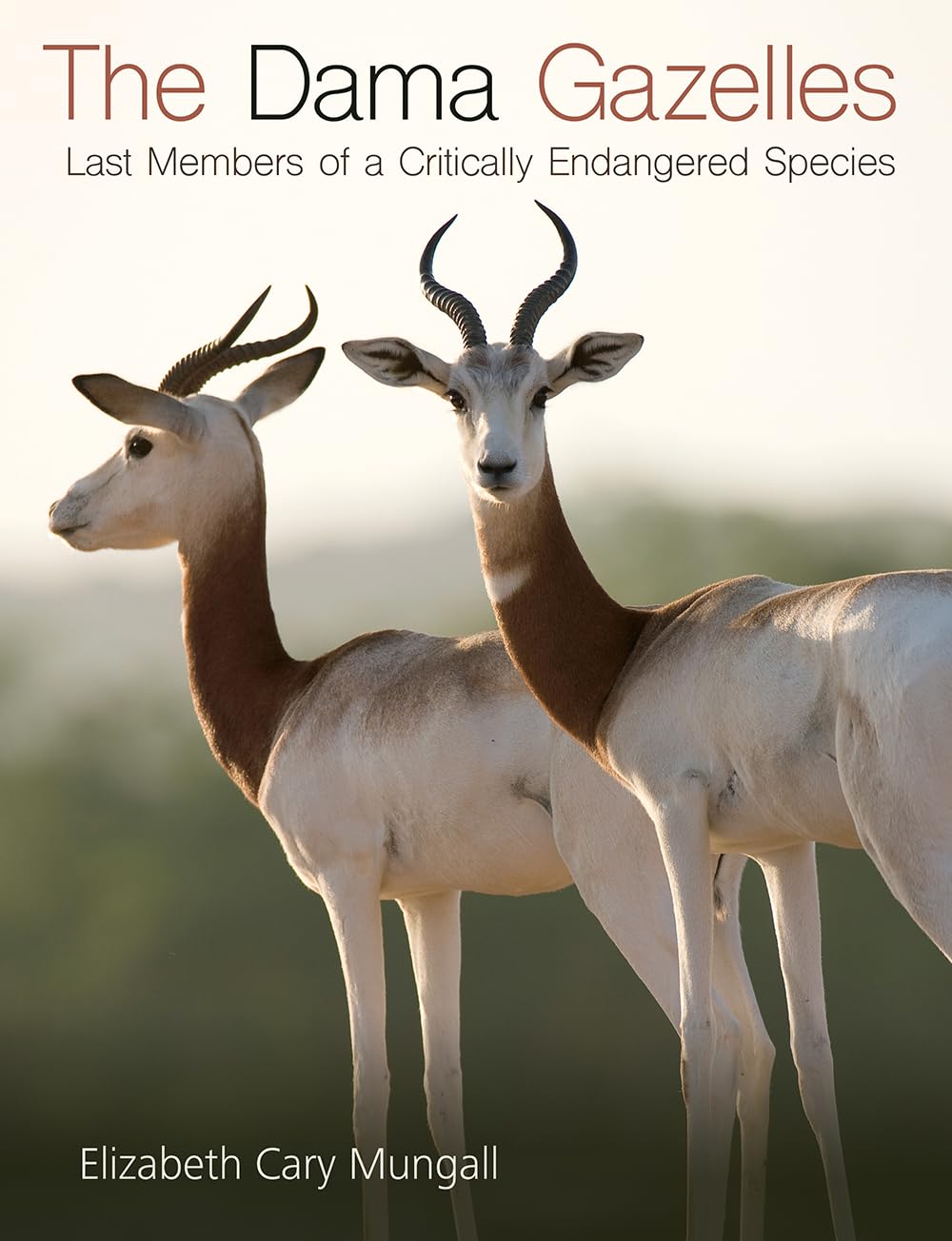 The Dama Gazelles: Last Members of a Critically Endangered Species book