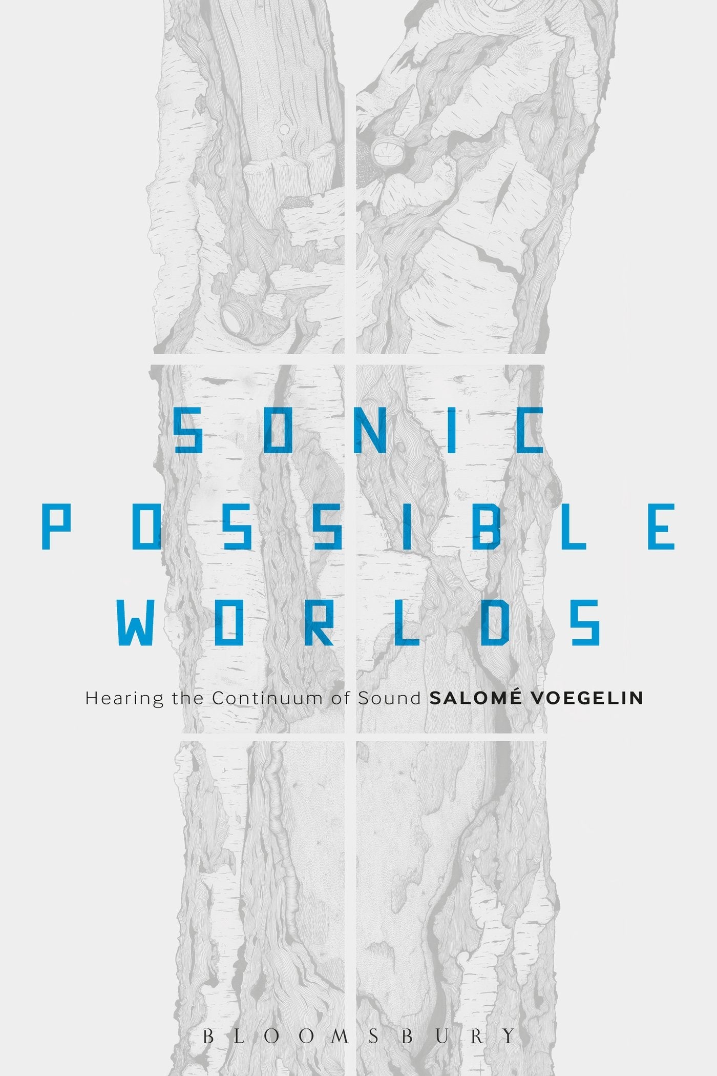 Sonic Possible Worlds: Hearing the Continuum of Sound Philosophy