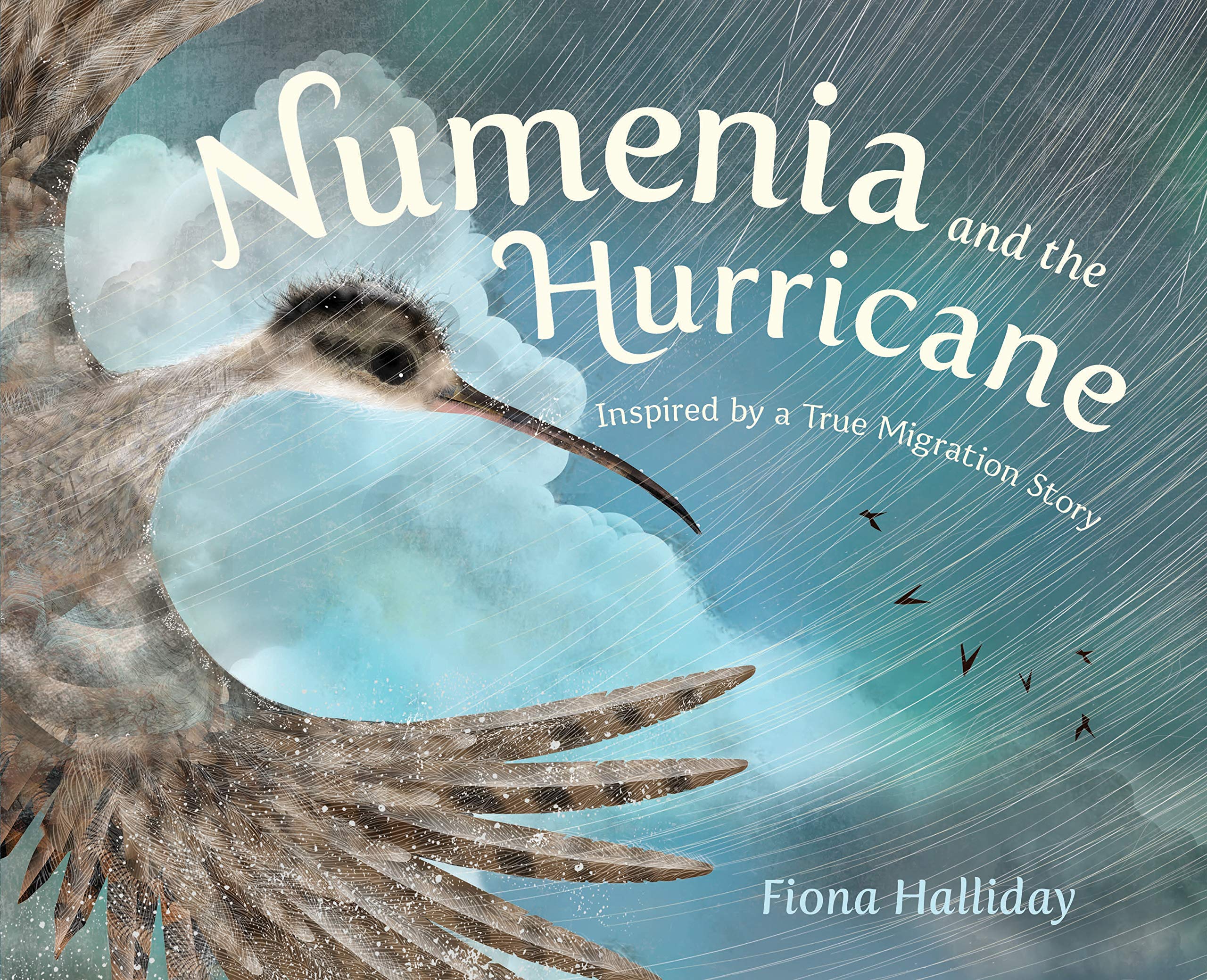 Numenia and the Hurricane: Inspired by a True Migration Story book