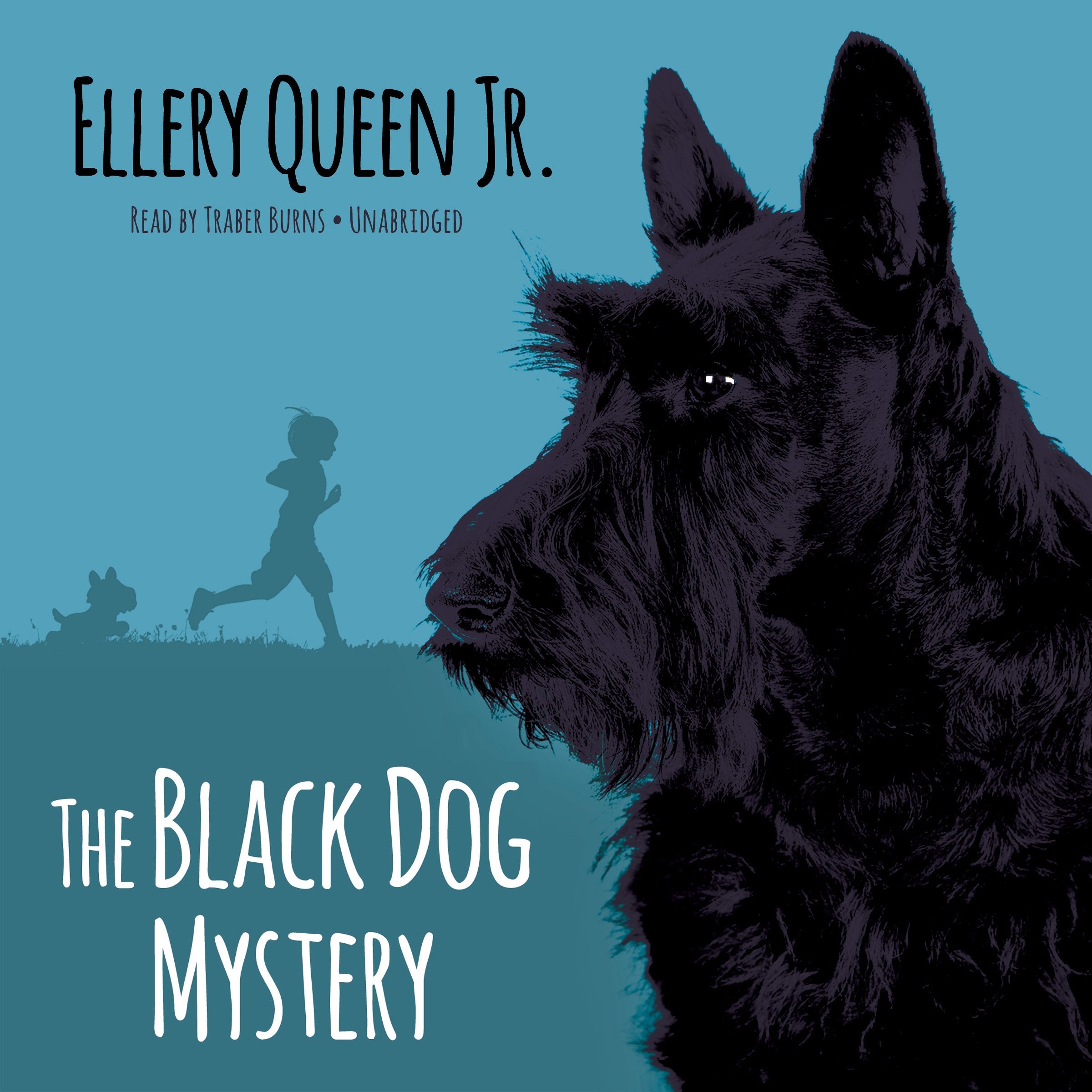 The Black Dog Mystery Novels & Short Stories