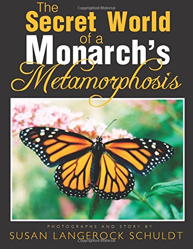 The Secret World of a Monarch's Metamorphosis Mathematics