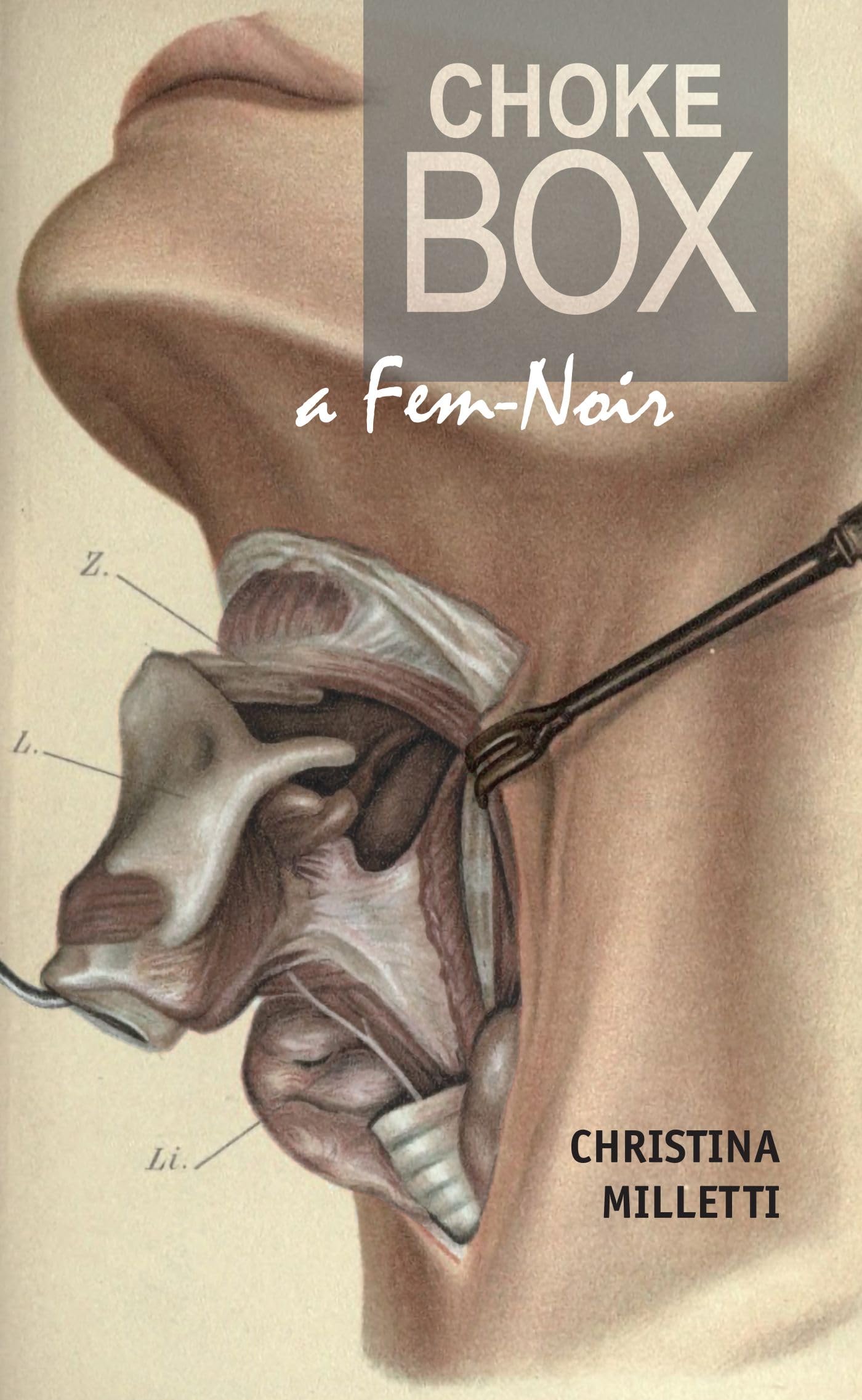 Choke Box: A Fem-Noir (Juniper Prize for Fiction) Contemporary literature