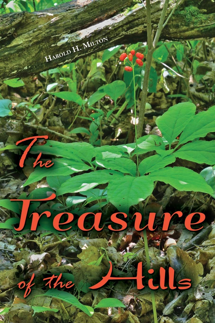 The Treasure of the Hills Historical Fiction