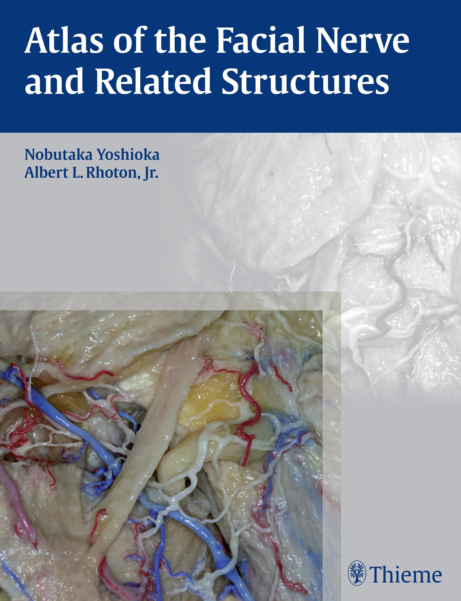 Atlas of the Facial Nerve and Related Structures Medicine