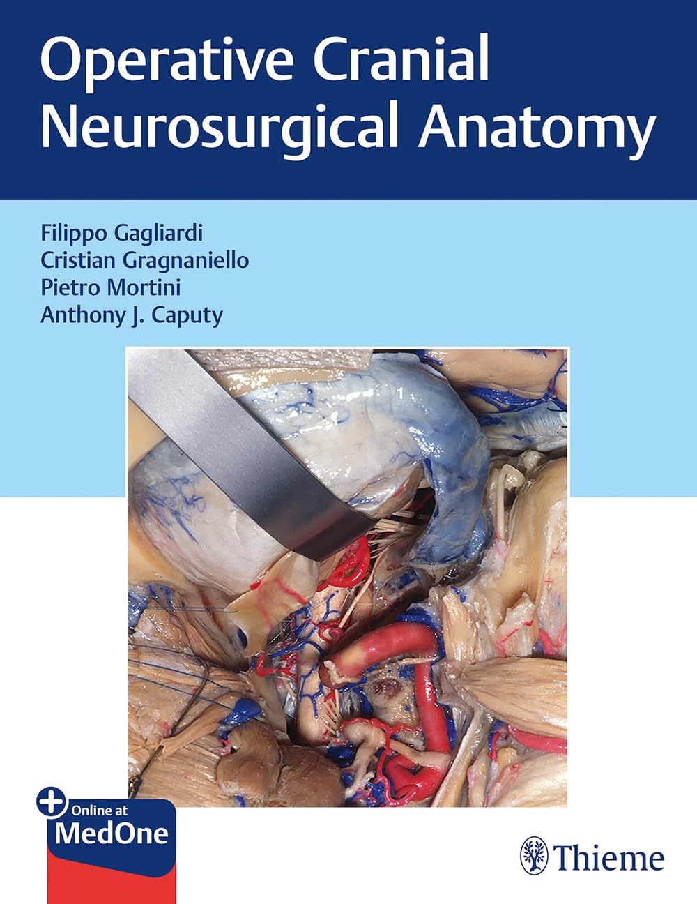 Operative Cranial Neurosurgical Anatomy Medicine