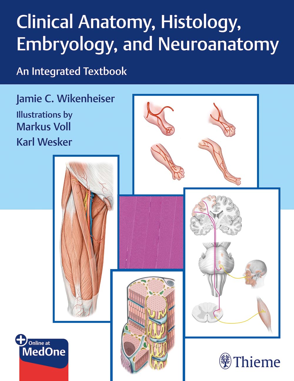 Clinical Anatomy, Histology, Embryology, and Neuroanatomy Medicine