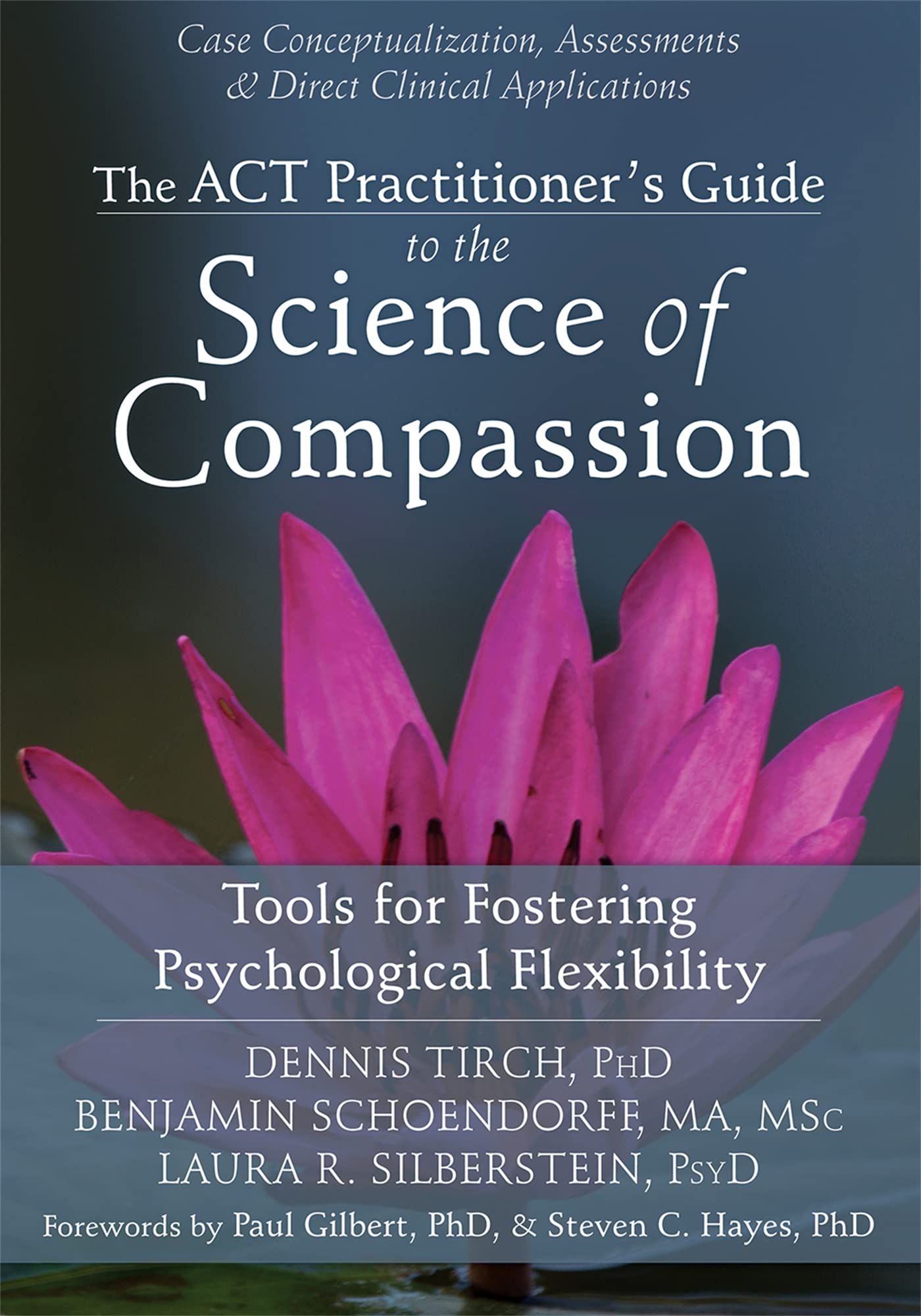 ACT Practitioner's Guide to the Science of Compassion: Tools for Fostering Psychological Flexibility Medicine