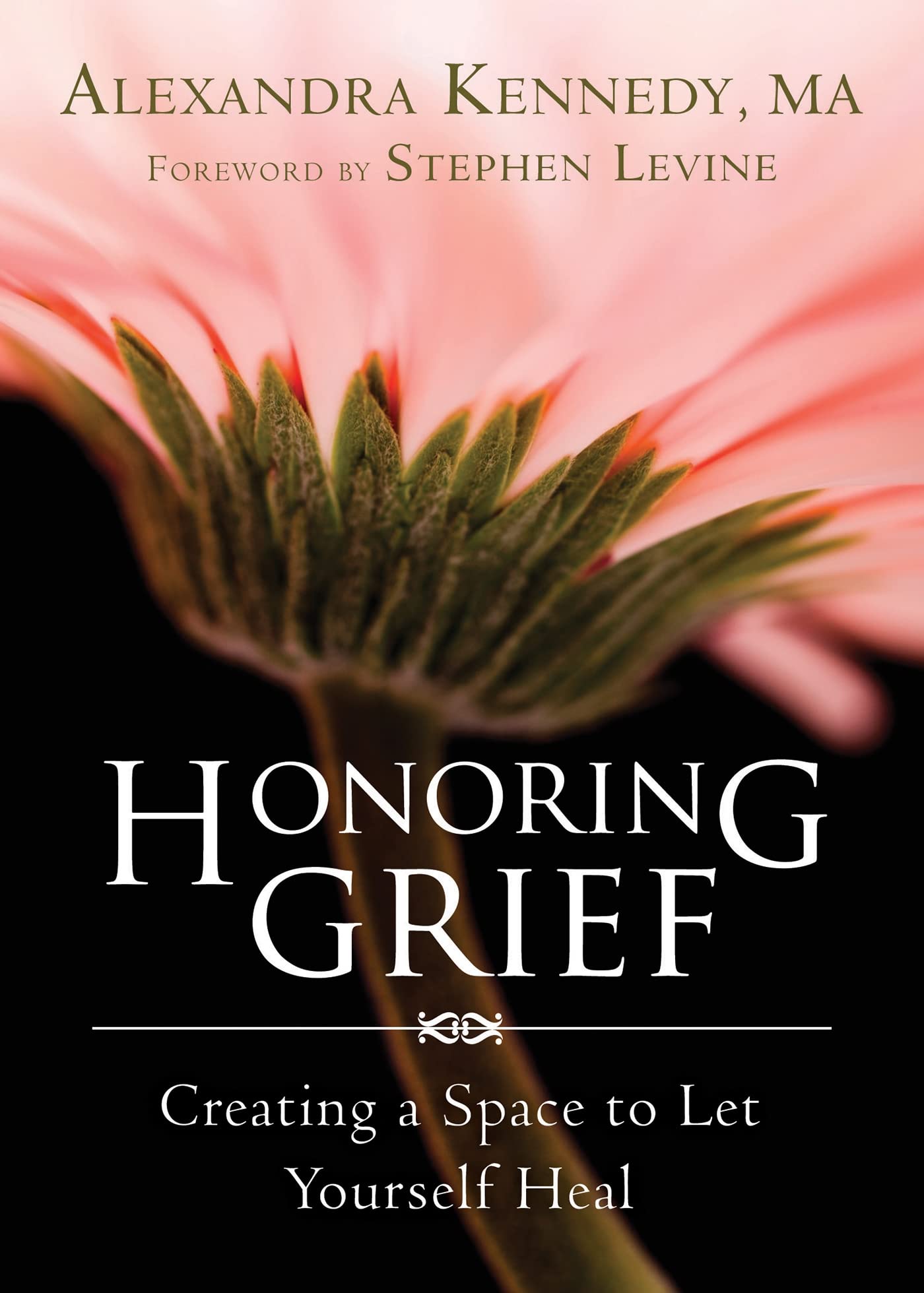 Honoring Grief: Creating a Space to Let Yourself Heal book